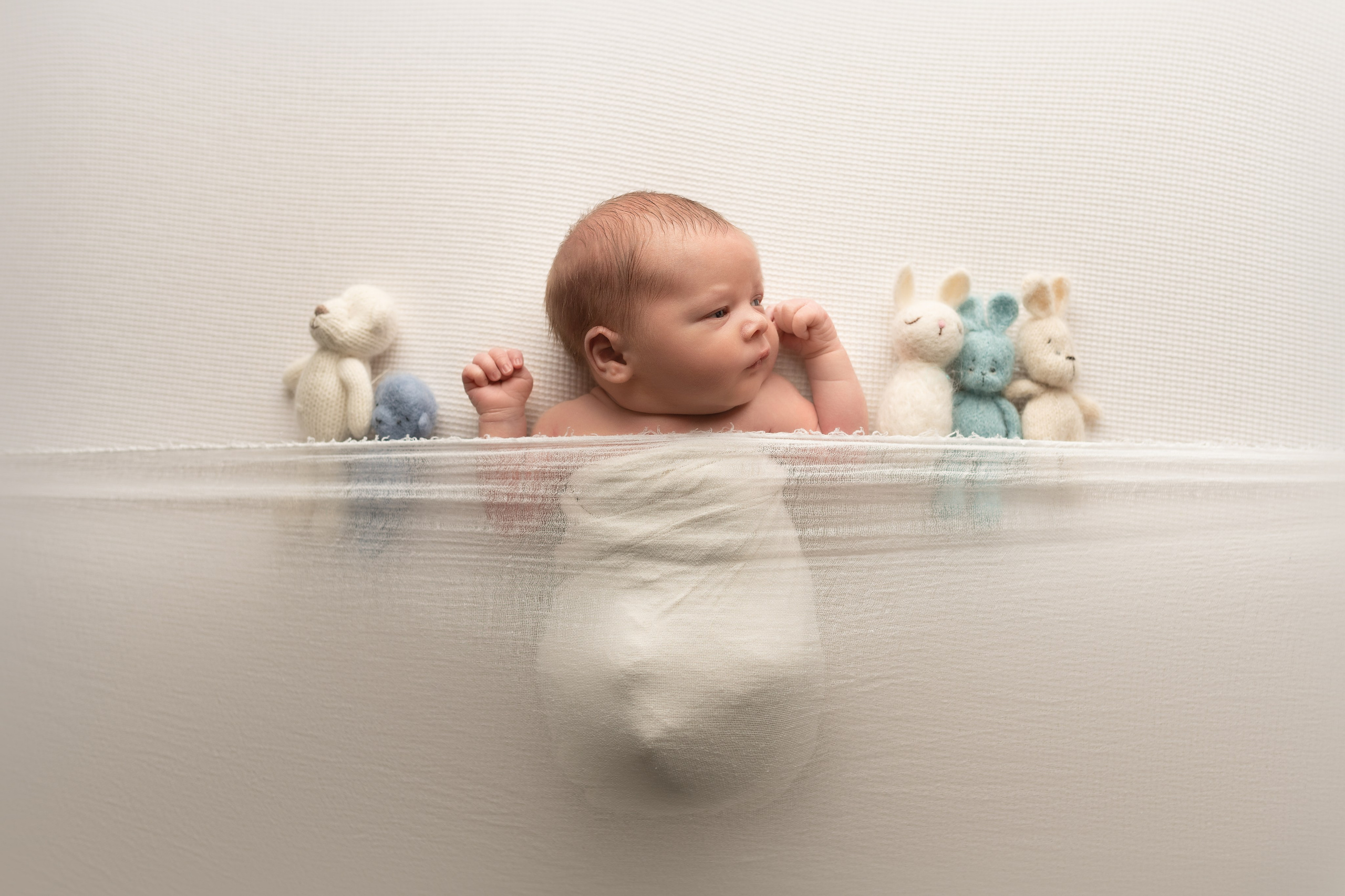 PH @babynewborn.photo. Retoucher Aleksmokh