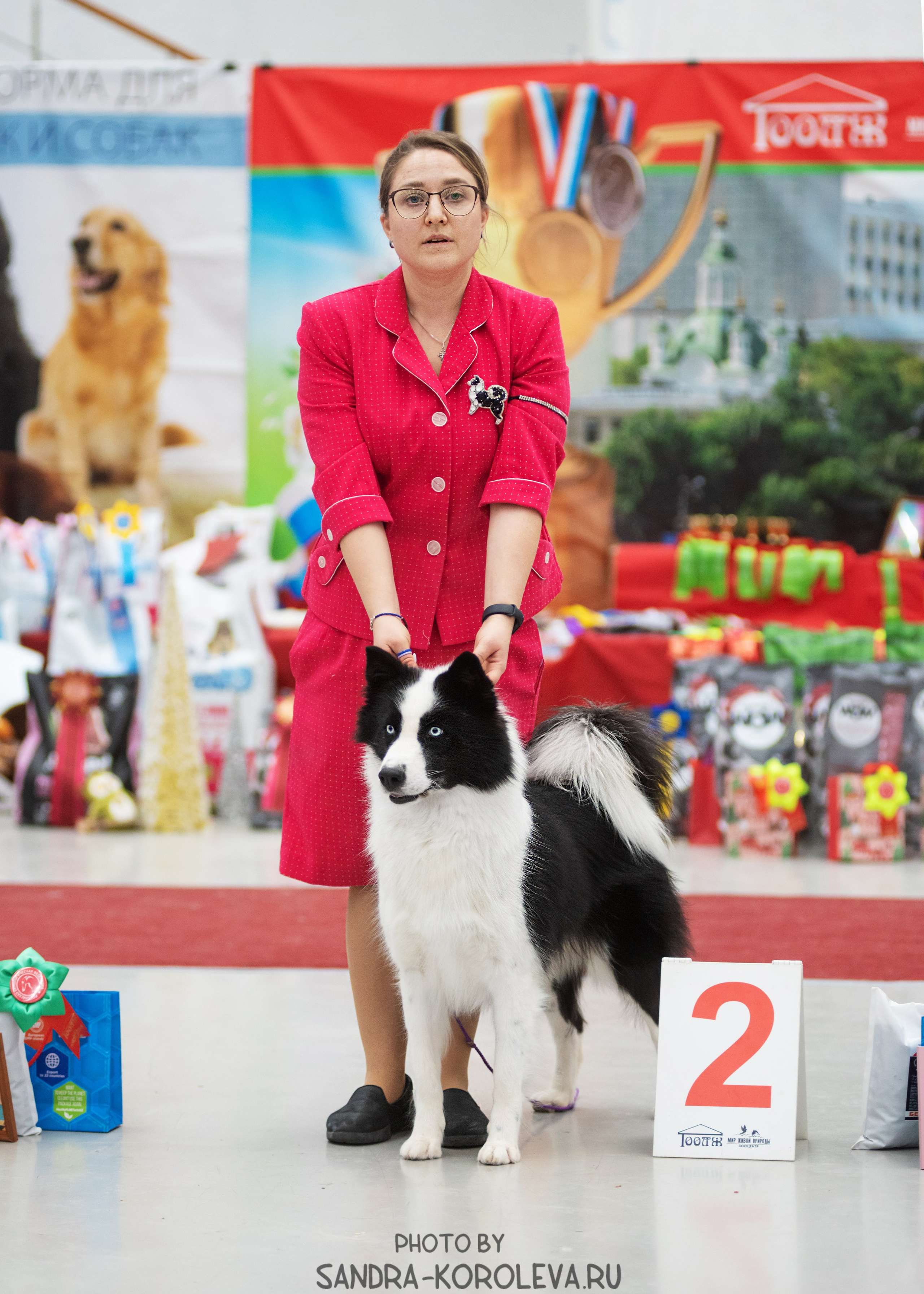 Выставка собак тюмень 10.12.2022. Дог-фотограф в Тюмени Александра Королева