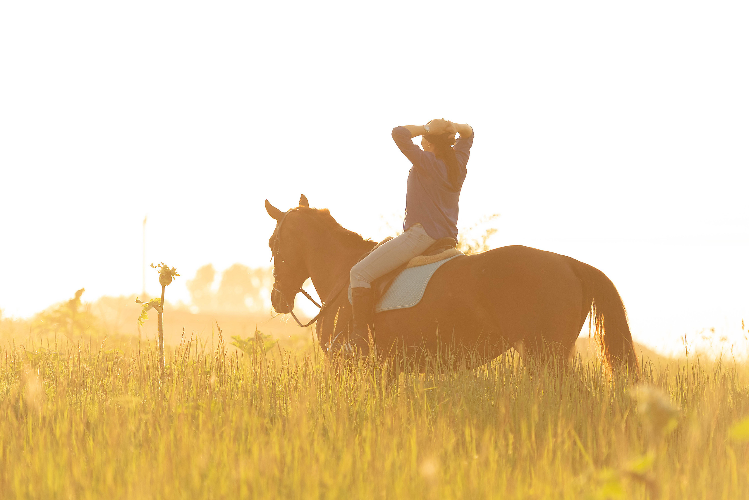 Конный фотограф Куракина Дарья • Фотосессии с лошадьми