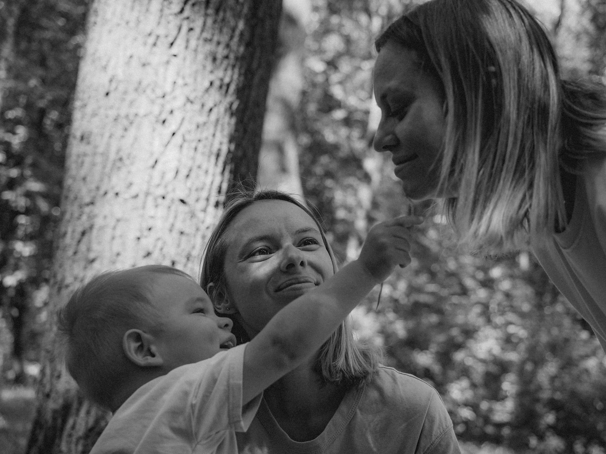 Лето, лето не уходи!. Фотограф в Москве — Сергей Люкшинов