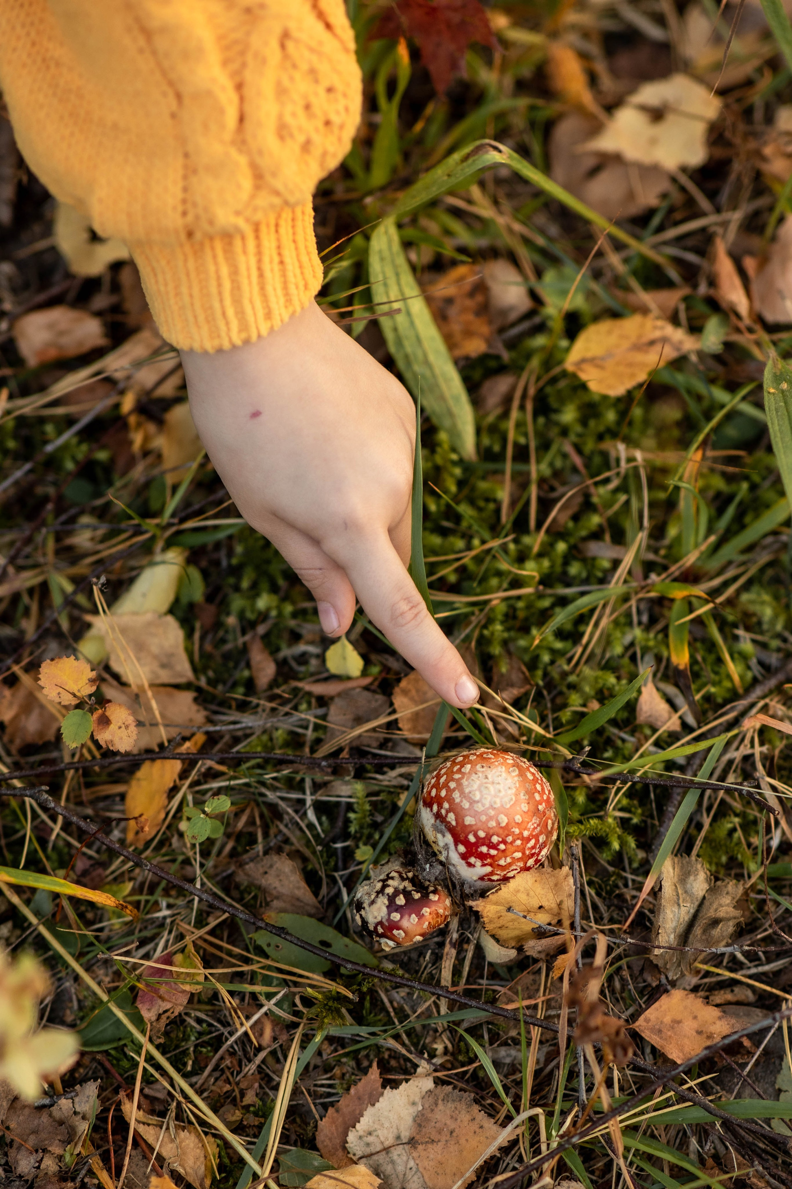 Семейная фотосессия