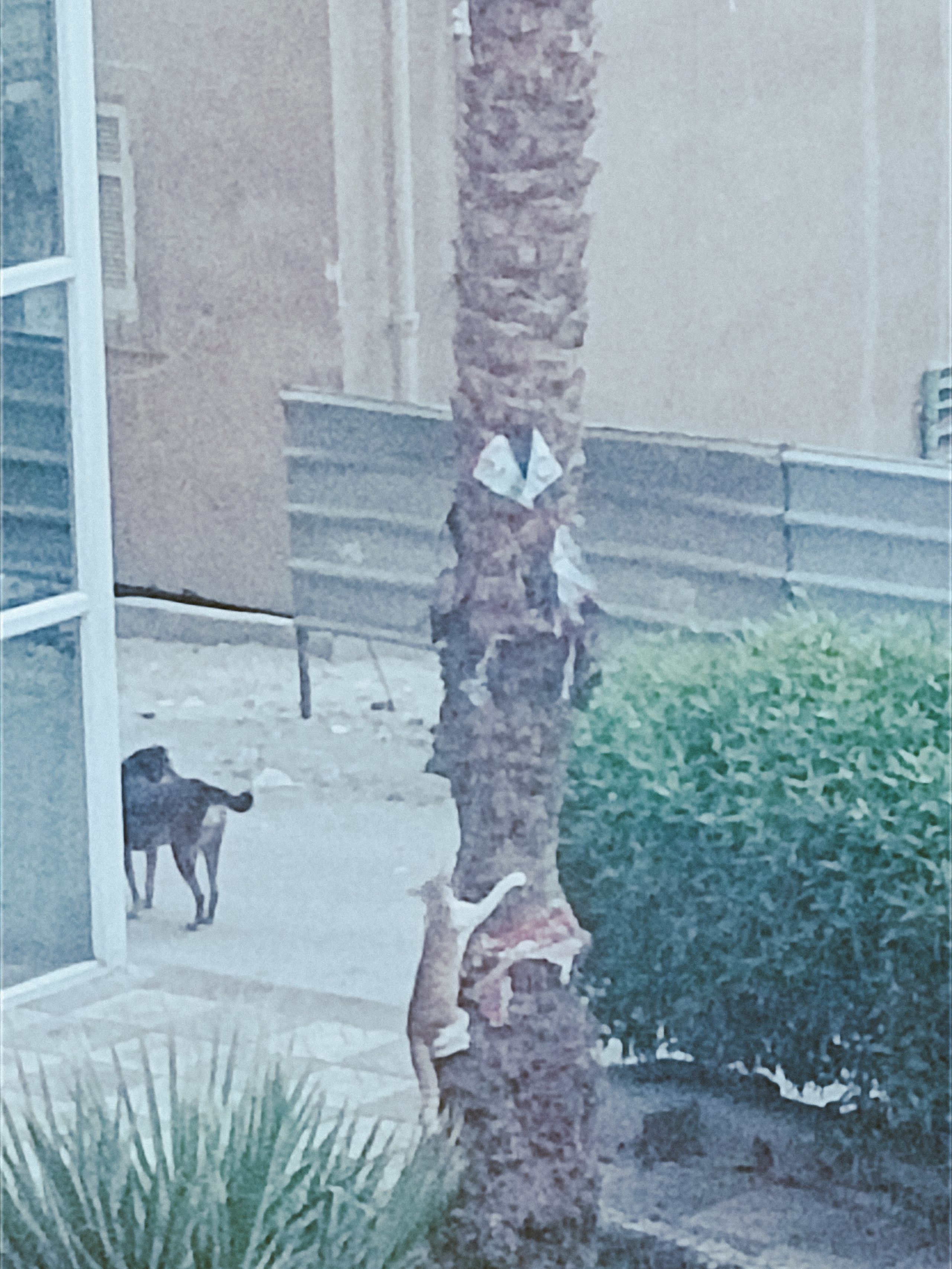 Мобильная. Jorgis — фотограф в Хургаде / обучение фотографии