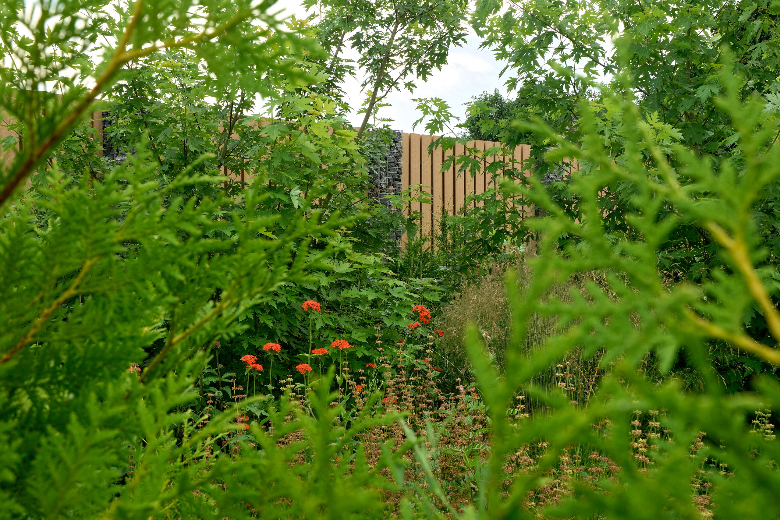 Ландшафтный и интерьерный фотограф Наталья Соловьева. Фотосъемка частного сада в&nbsp;Ломоносовском районе для ландшафтного дизайнера Анаит Акопян и&nbsp;студии ВСЕВСАД | interioto