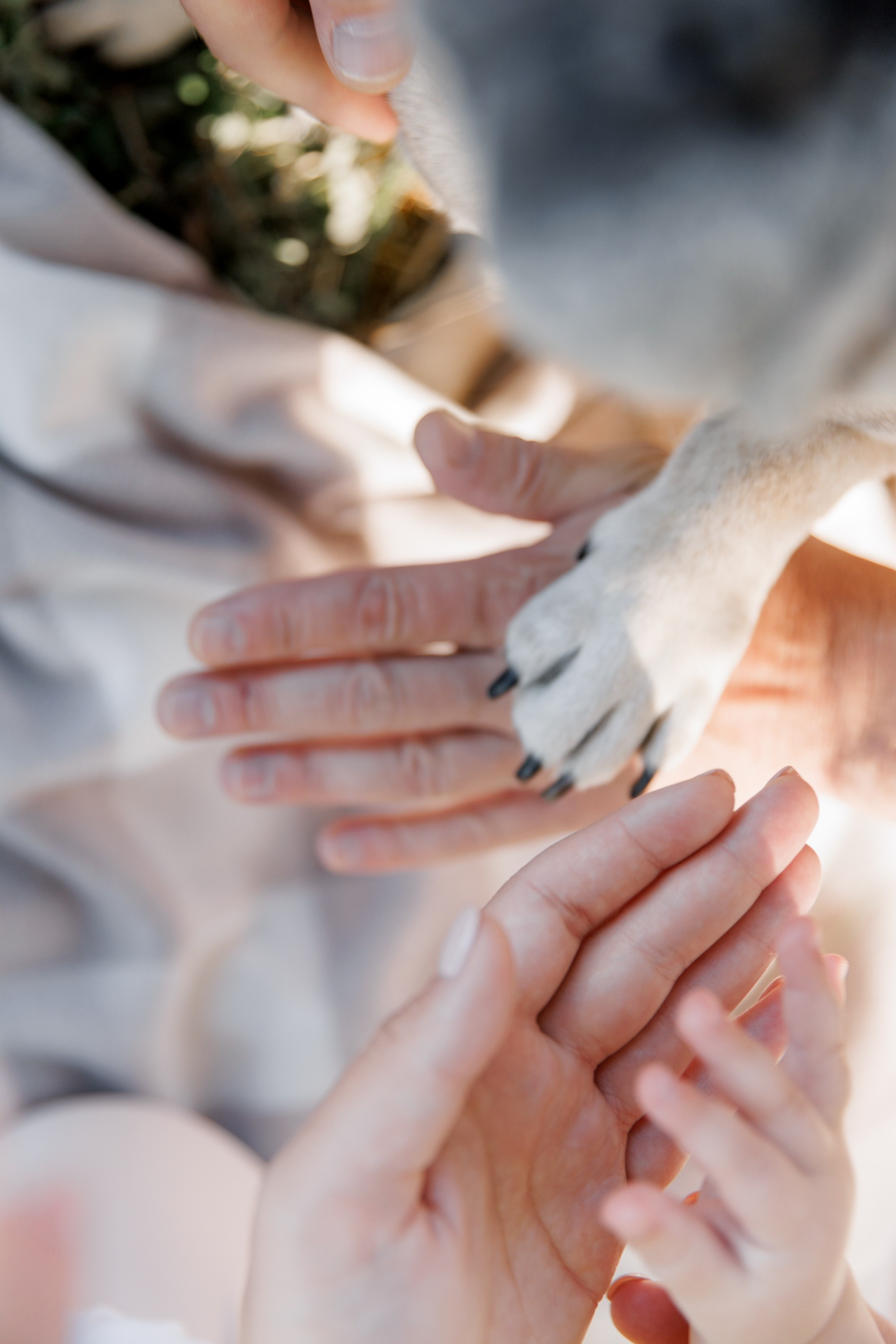 Теплая история в парке. Кравченко Сергей — фотограф для тебя в Москве