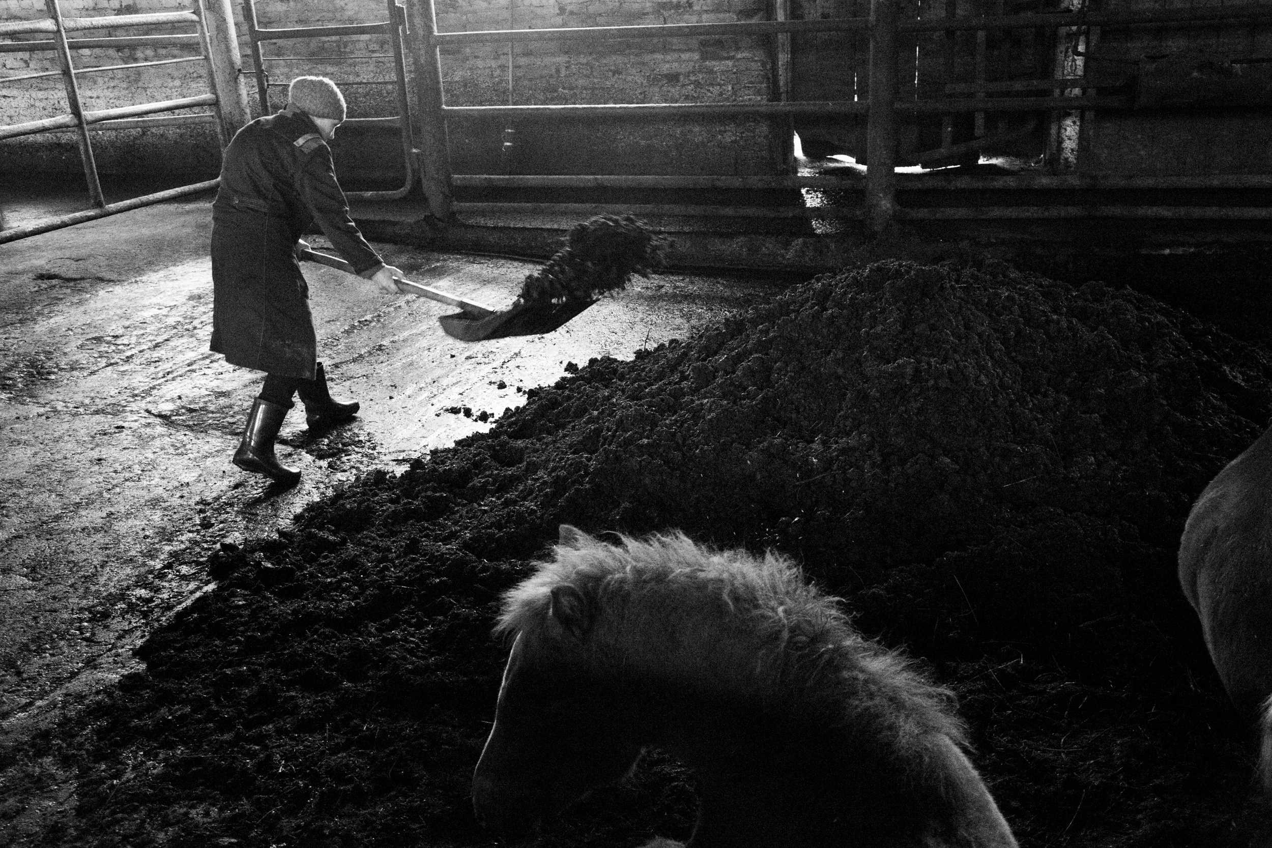 Татьяна Корчагина. Фотограф, художник. Обучение фотографии