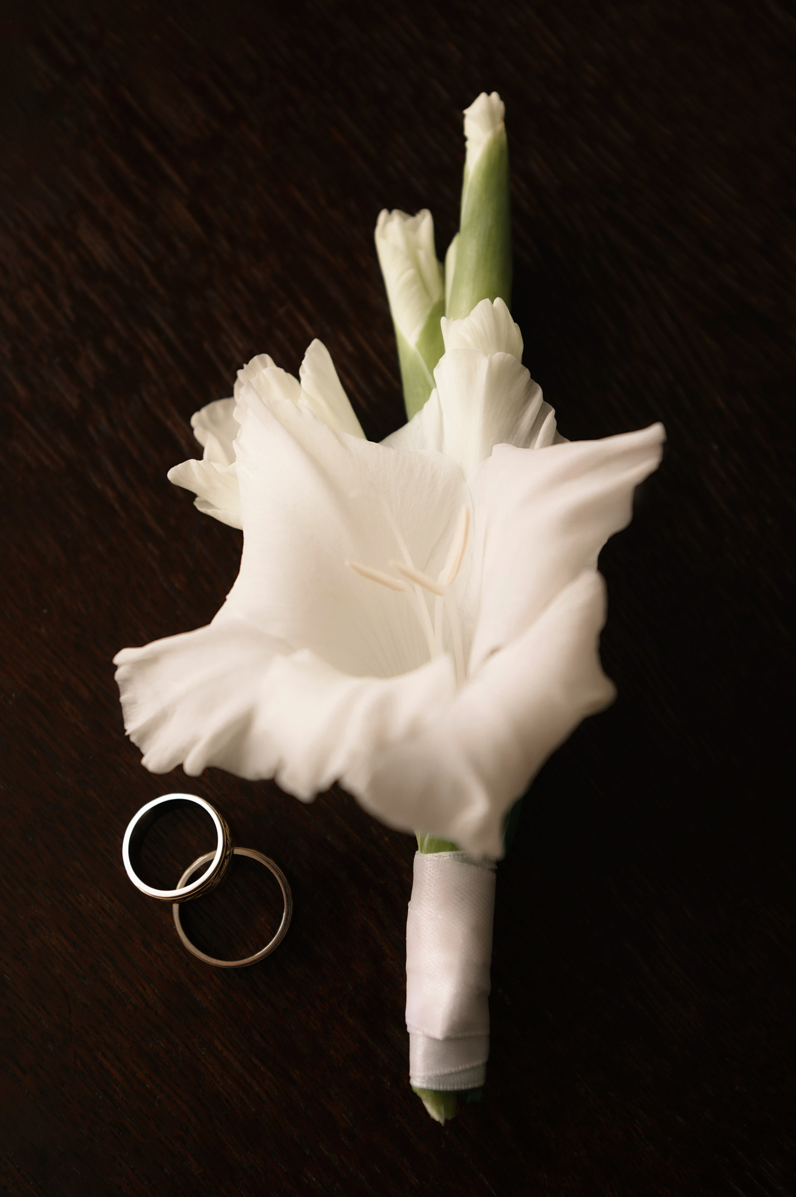 Даниил и Виктория. Свадебный фотограф Белгород