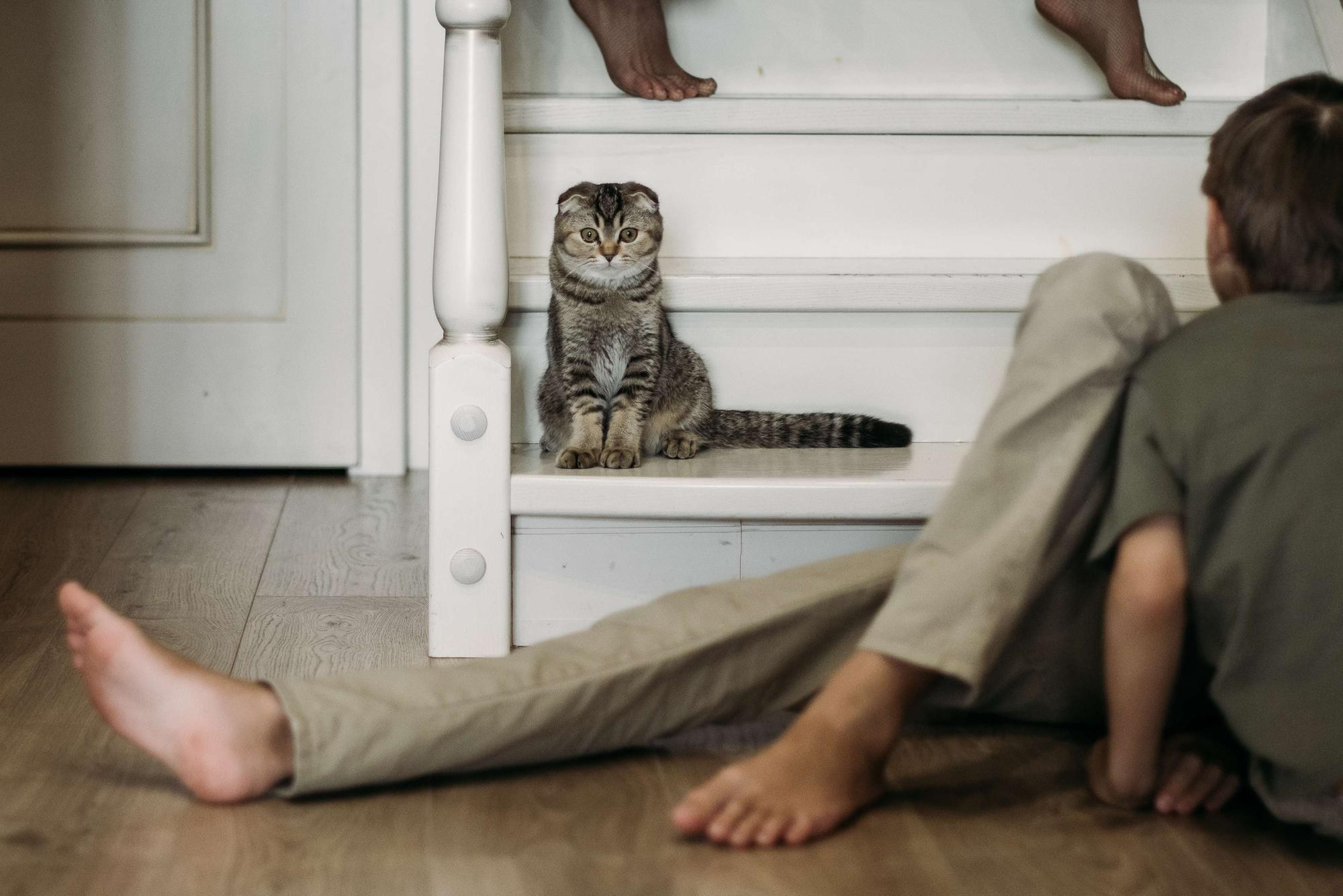 СЕМЕЙНЫЕ ВЫХОДНЫЕ. Свадебный фотограф в Ставрополе Сергей Шляхов