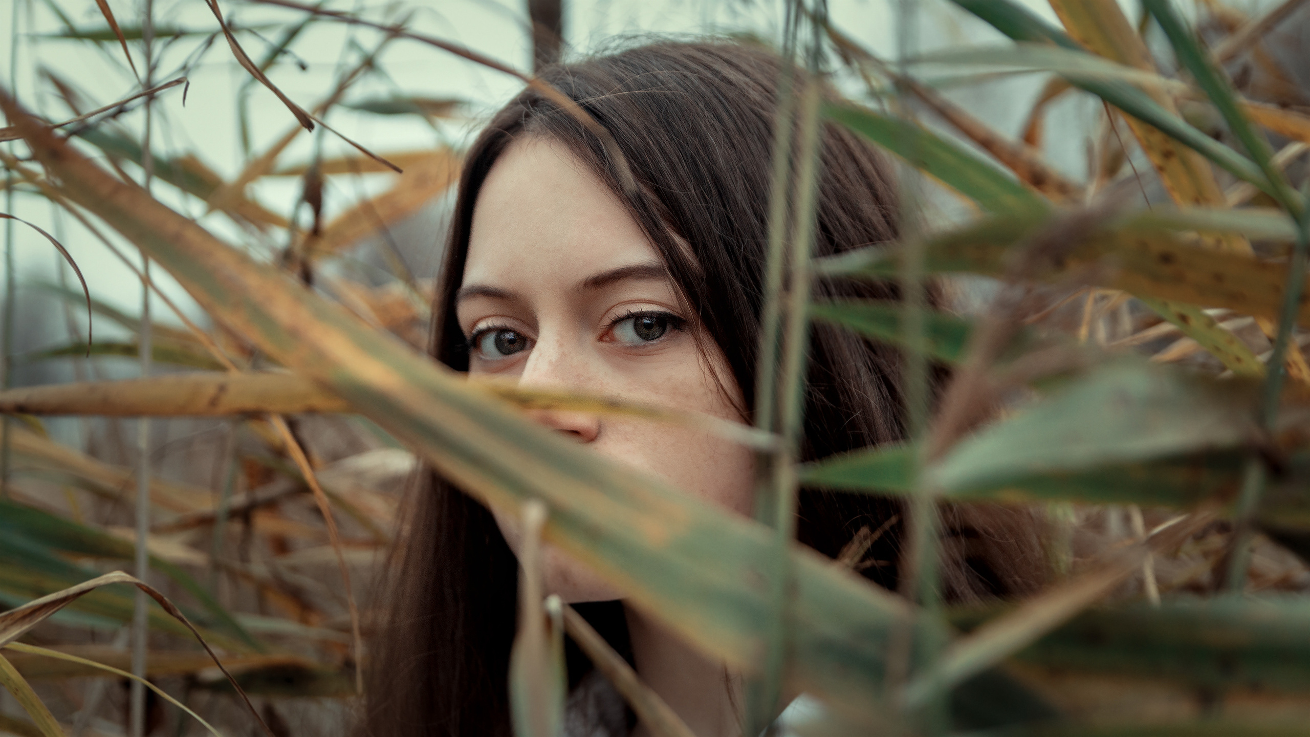 Женская фотосессия в лесу — Москва. Фотограф Зиновьев Илья, Москва