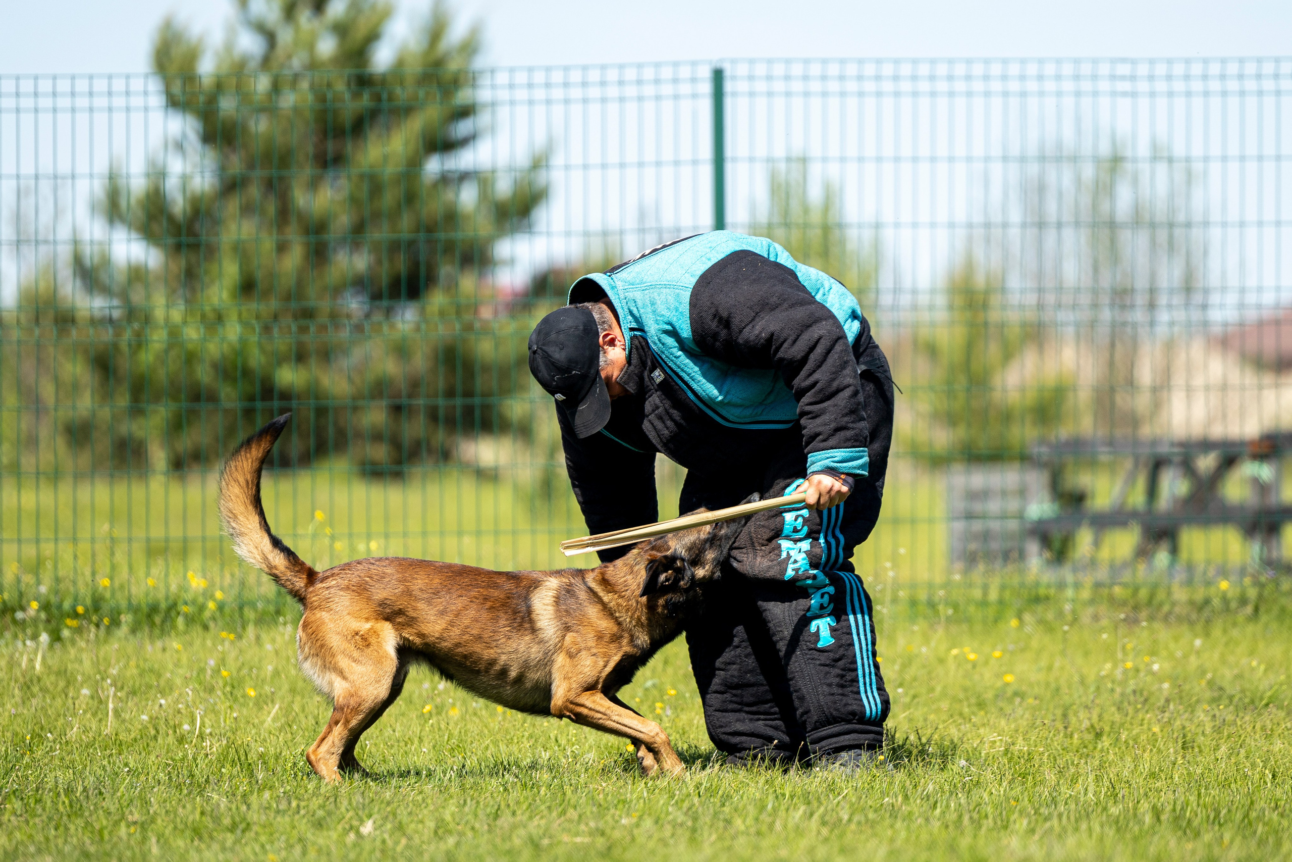 Испытания по мондьорингу в Нижнем Новгороде. Фотограф-анималист Анна Маринич