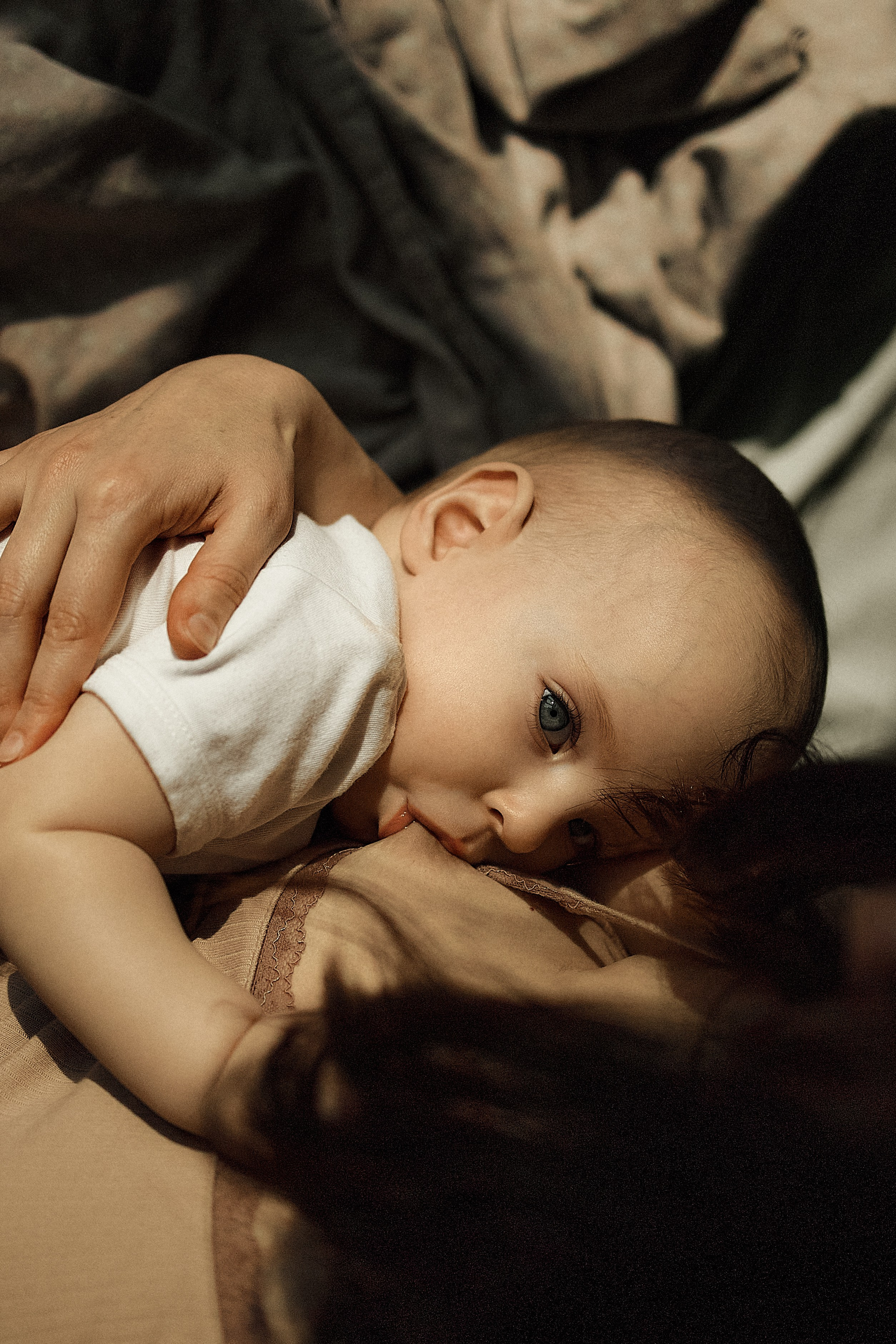 Портфолио. Edomaphoto.ru