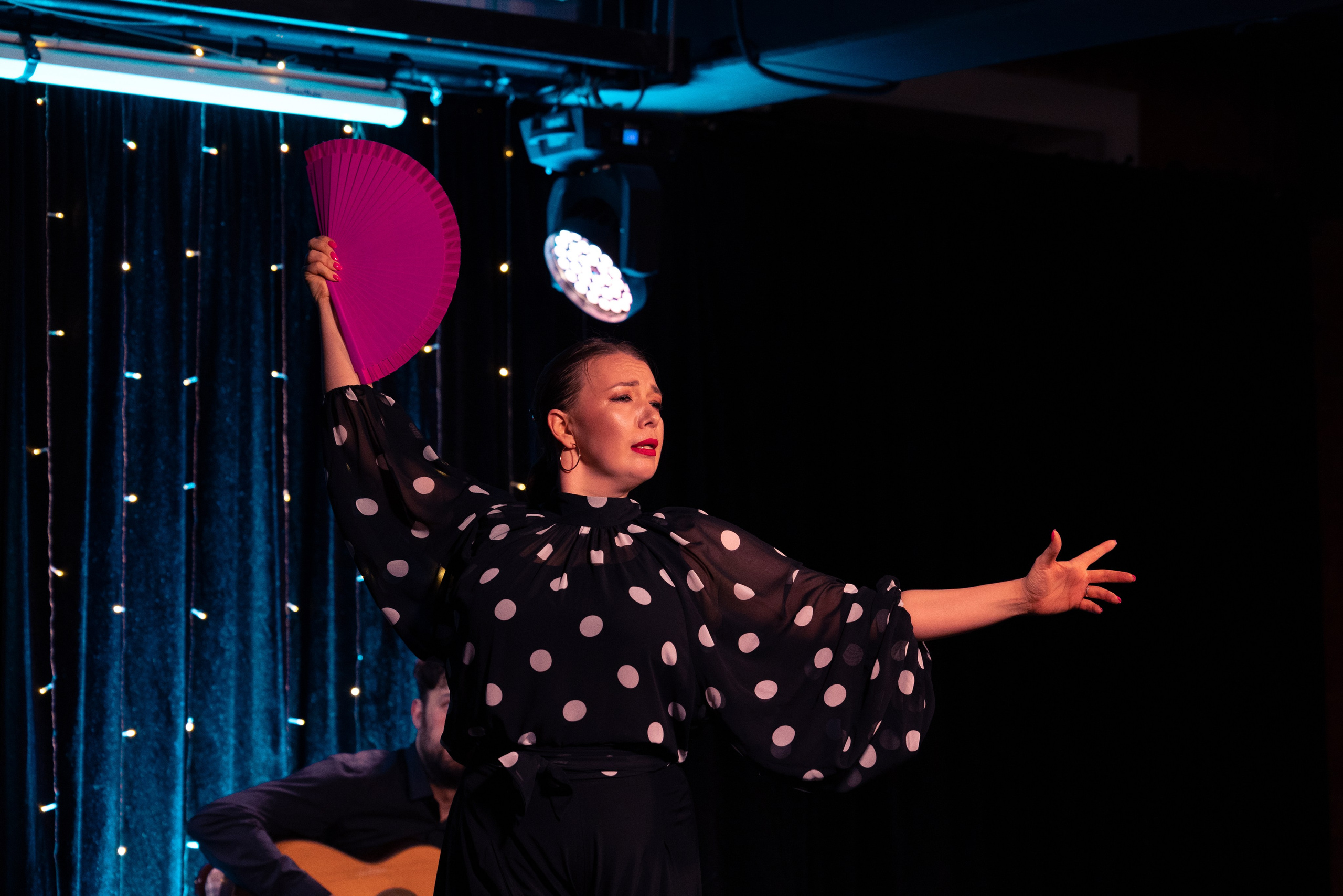 Flamenco 02.01.2025. Индивидуальные съемки, портретный фотограф