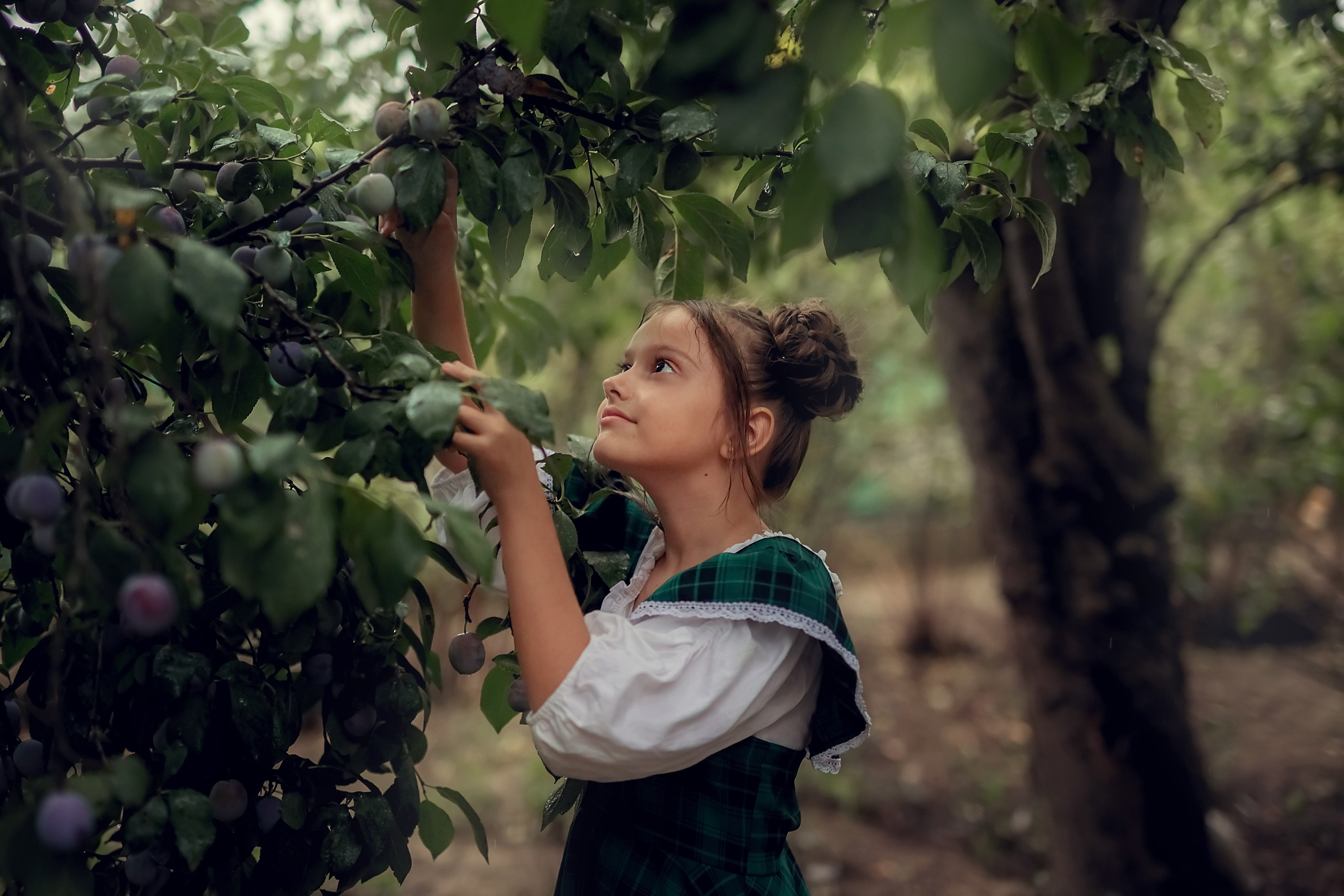 Сливовая история. Семейный и детский фотограф Екатерина Савёлова