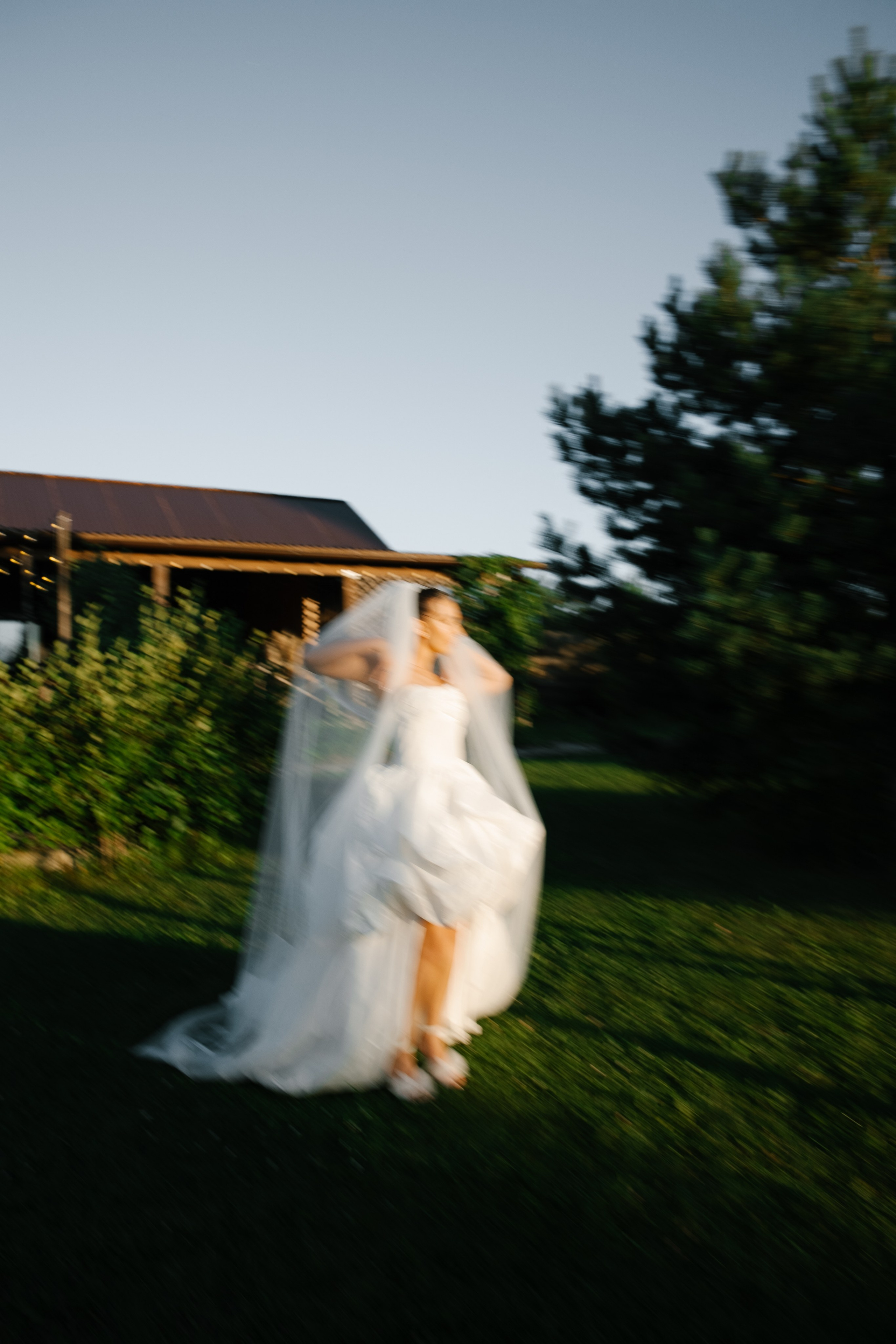 Алексей и Дарья. Свадебный фотограф Полина Панина