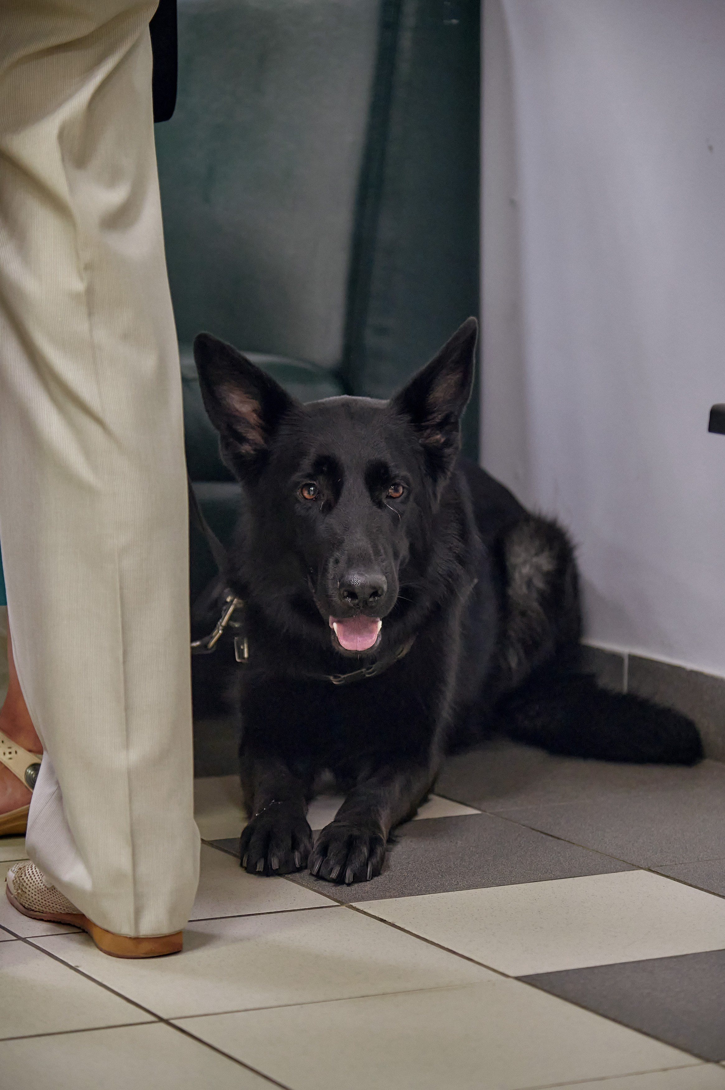 Портфолио репортажной фотосъёмки: "Дом Кино" Красноярск. Фотограф Яковлев Роман — Красноярск