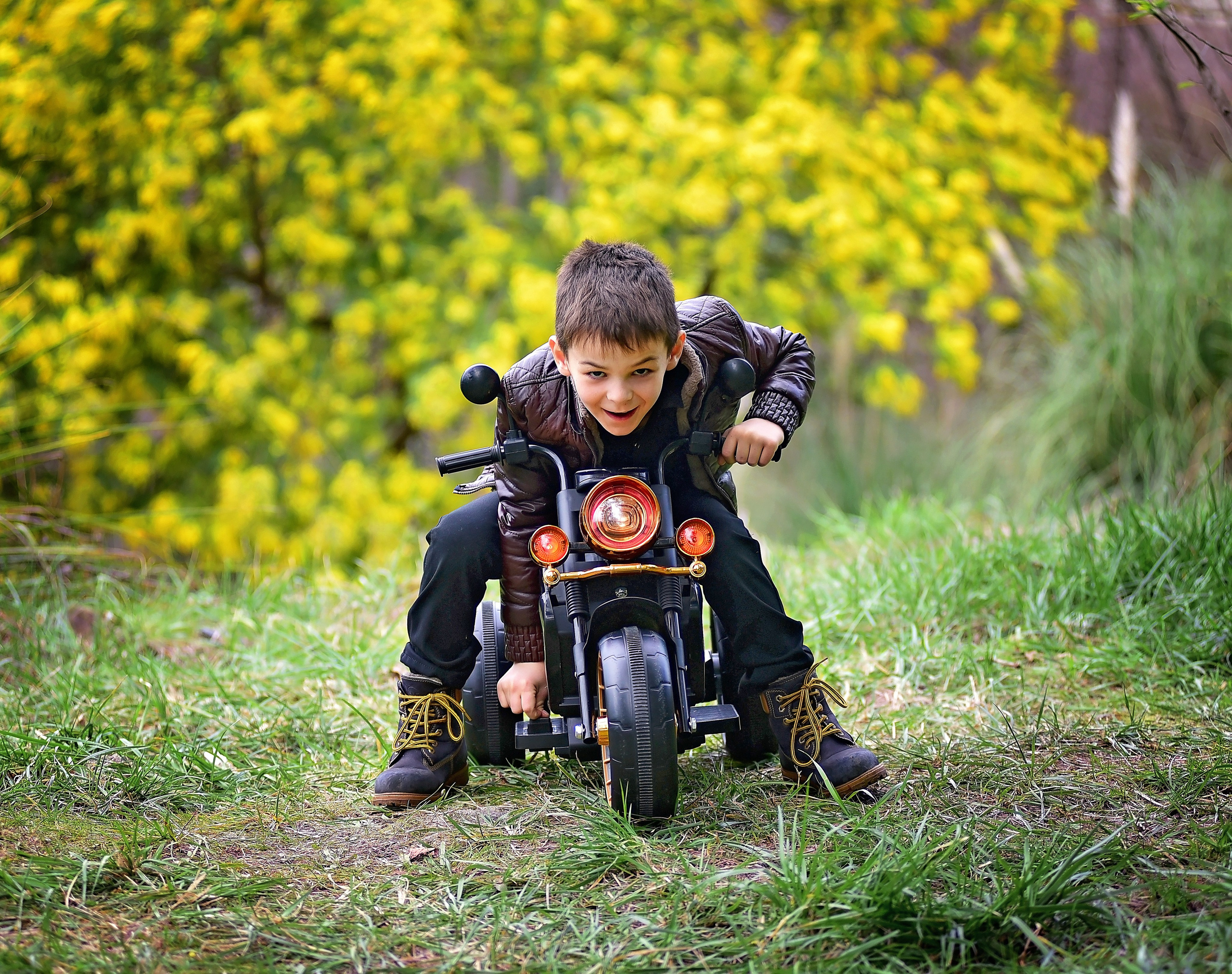 Мимоза. Главная