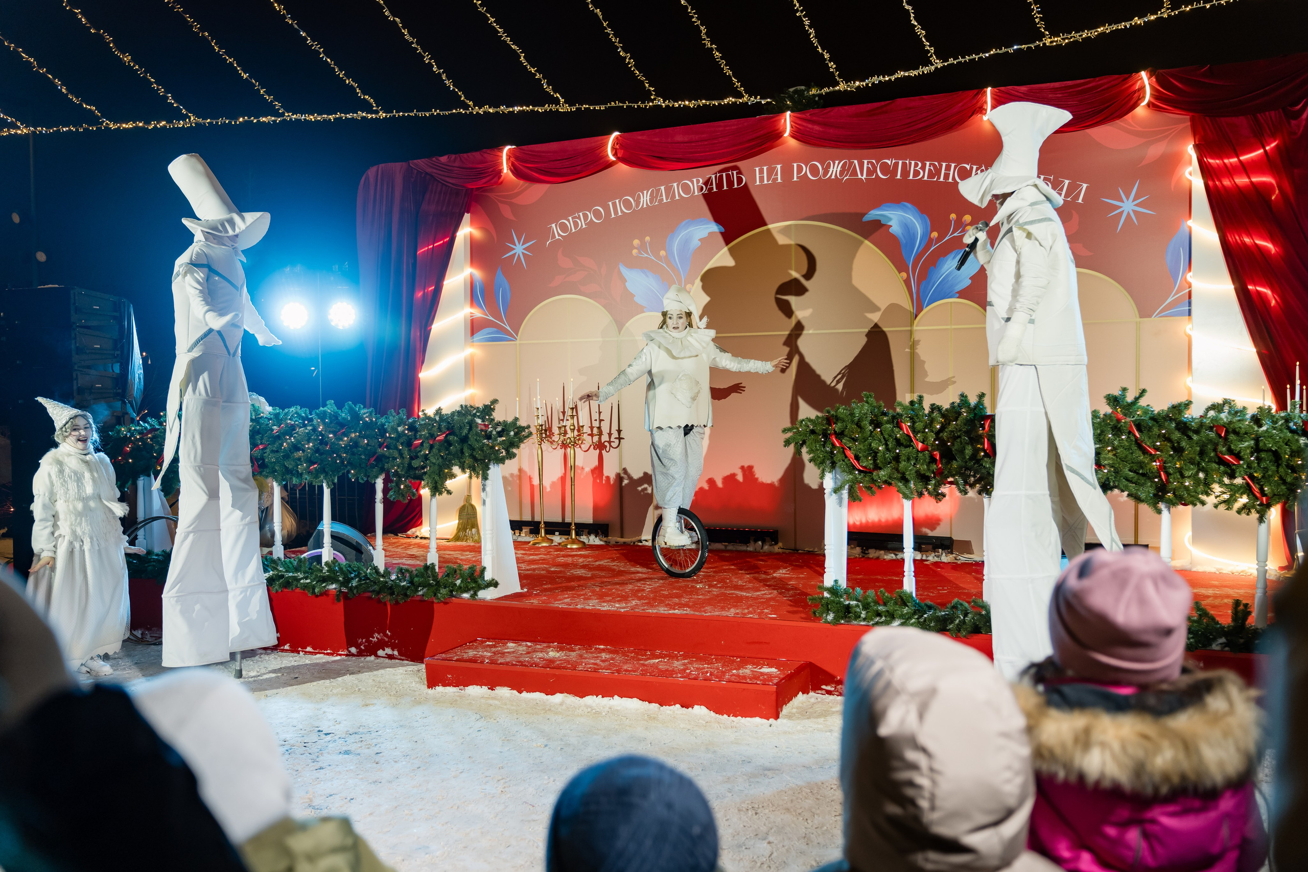 Рождественский бал. Пар Ходынское поле. 07.01.2025