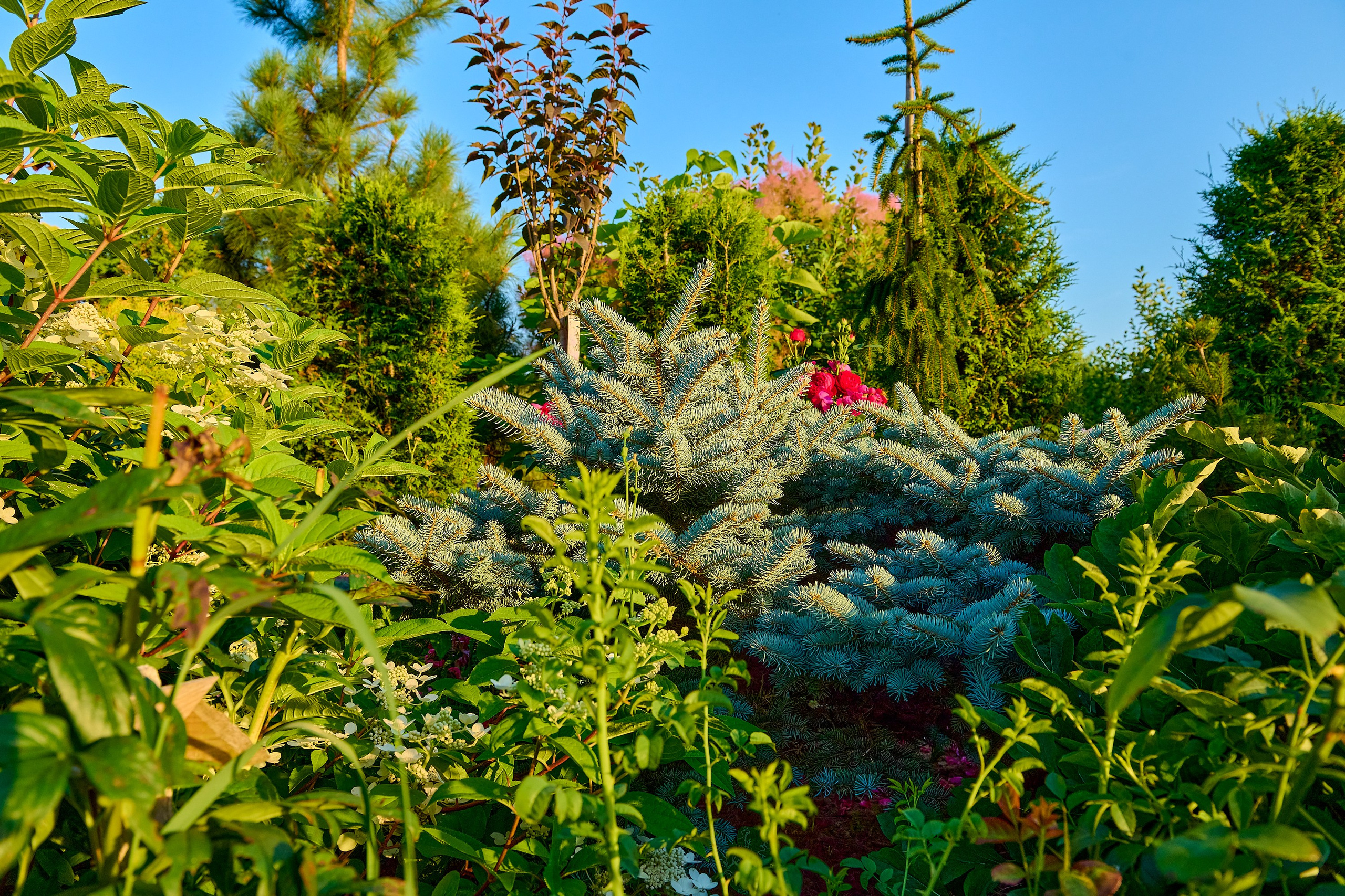 Фотосъёмка ландшафтных рабт