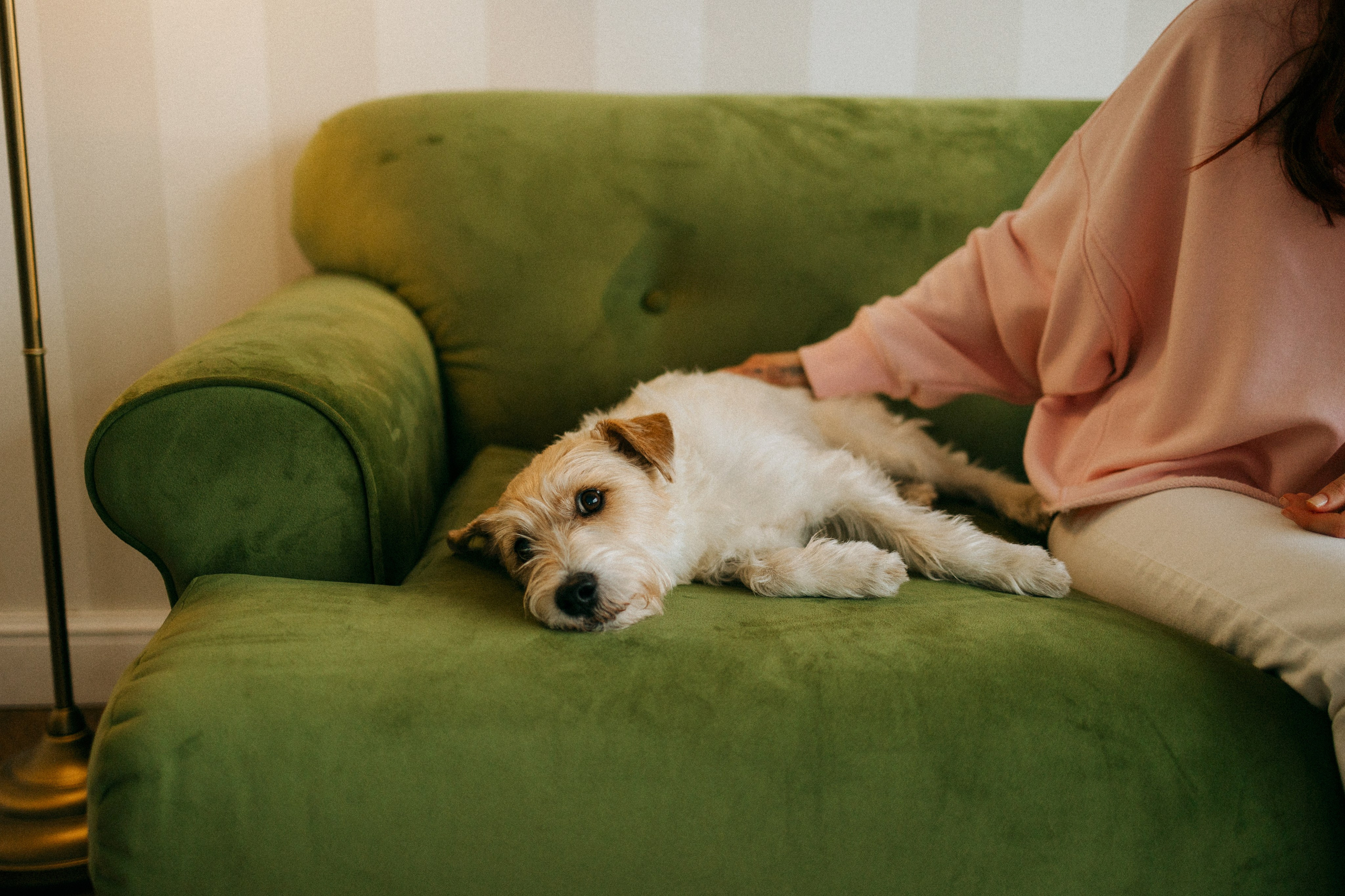 Цунами, Теон и Женя. Фотограф анималист Анастасия Пикей