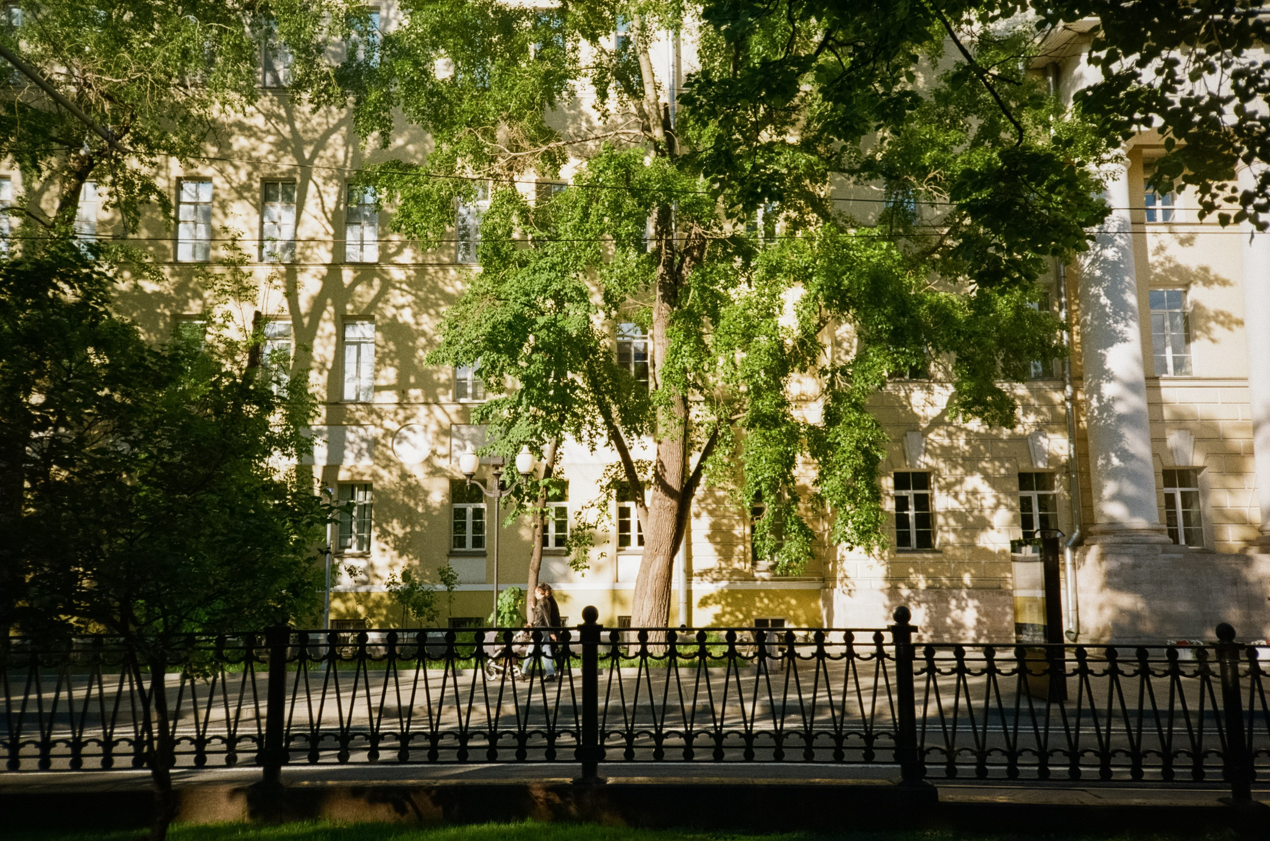 Kodak Kodacolor 200 примеры фотографий
