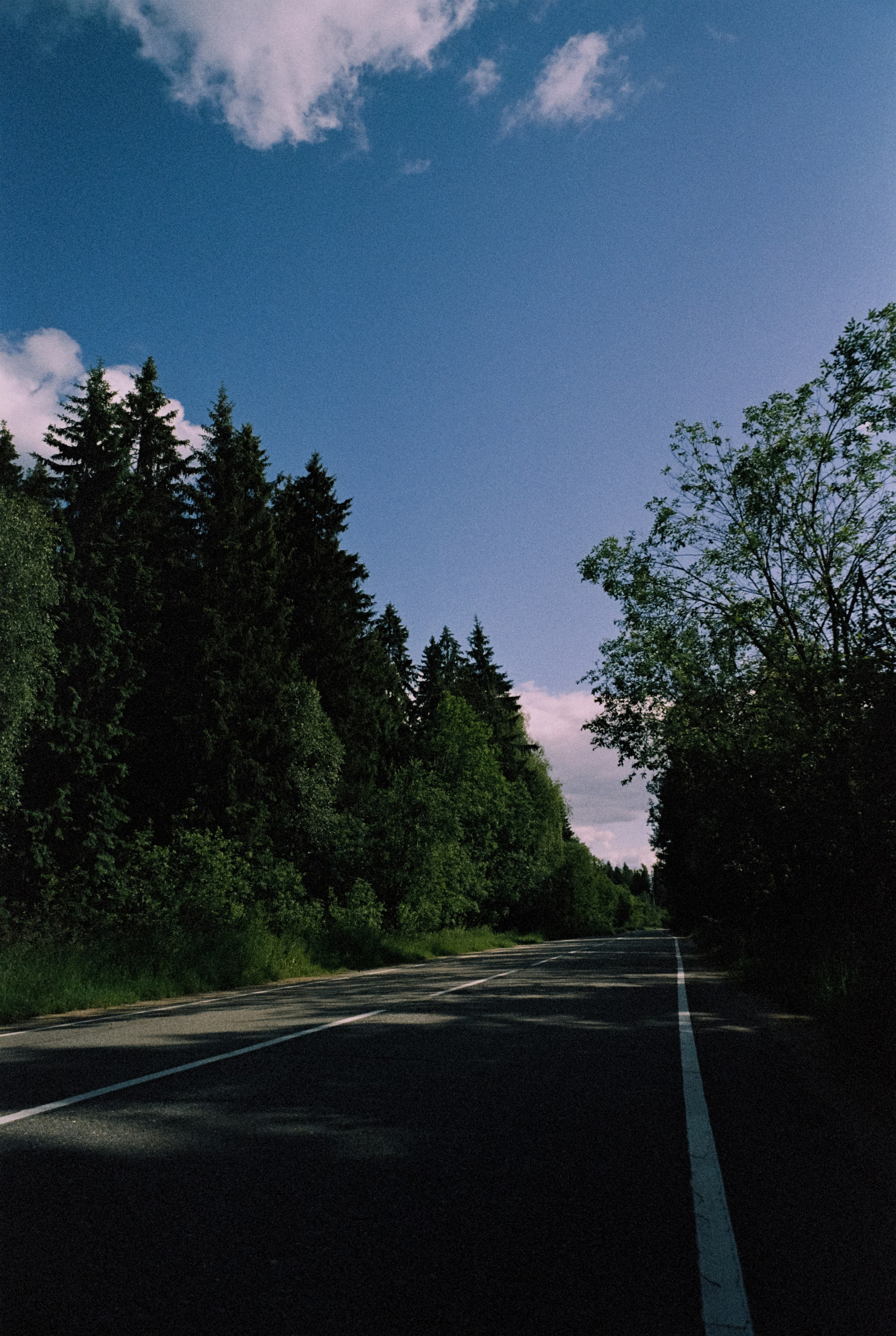 Contax G1 — Carl Zeiss Biogon T* 21 mm f2.8 | Kodak ProImage 100 | Лукино, Строгино