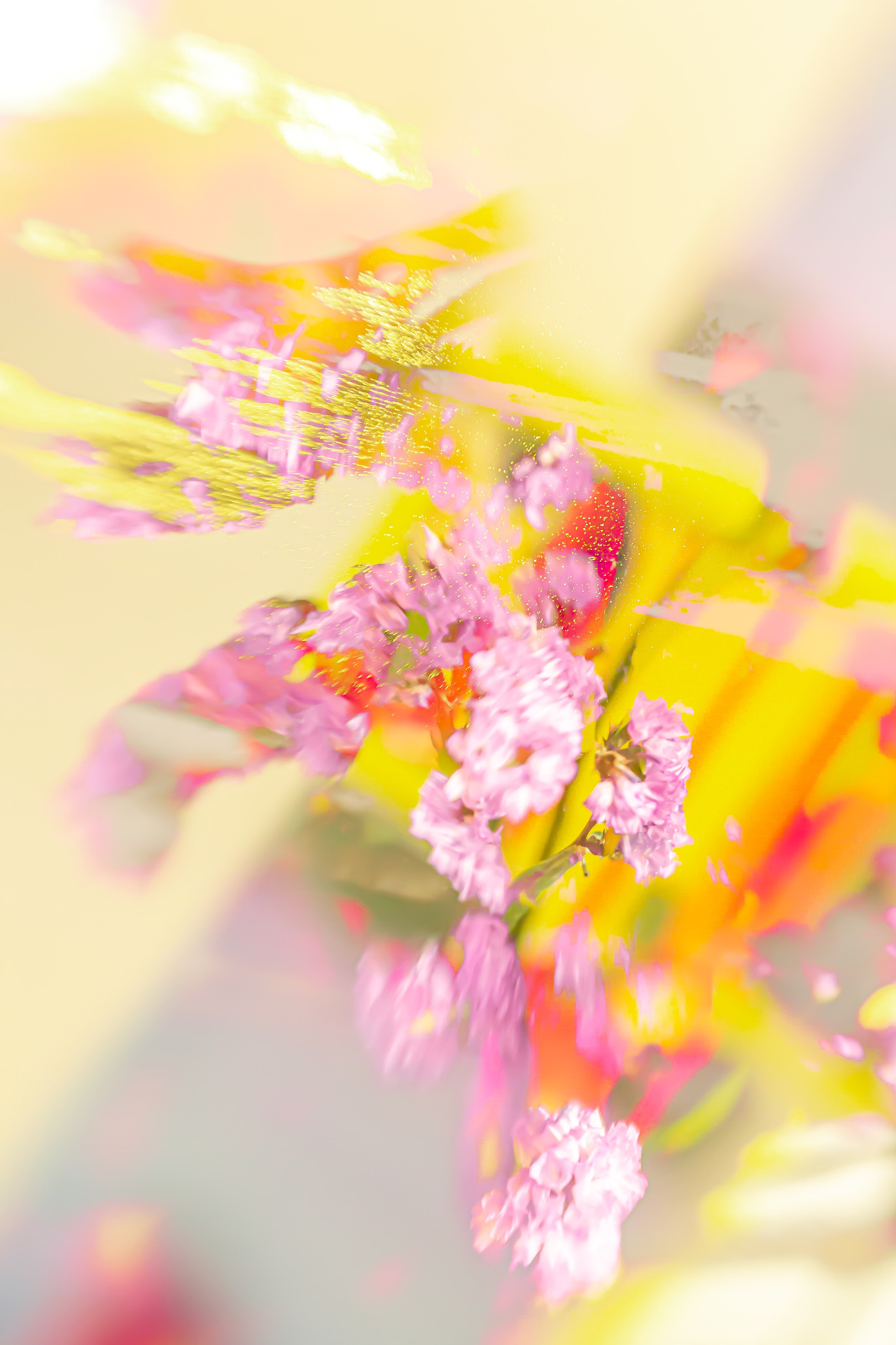 ЦВЕТА, 2025-2026. АННА ВЕРСО / ANNA VERSO | Визуальный художник / Visual artist