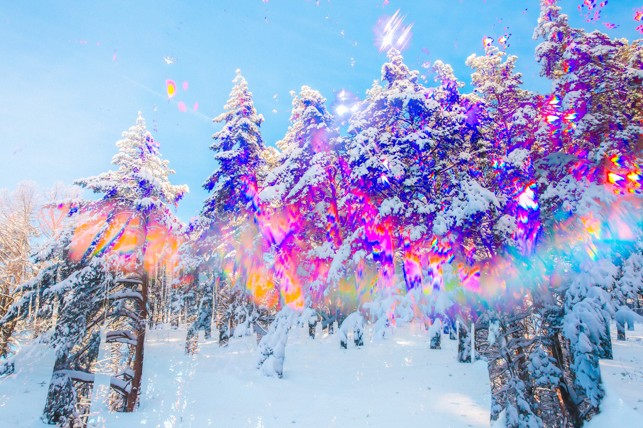 — 29С, 2026. АННА ВЕРСО / ANNA VERSO | Визуальный художник / Visual artist