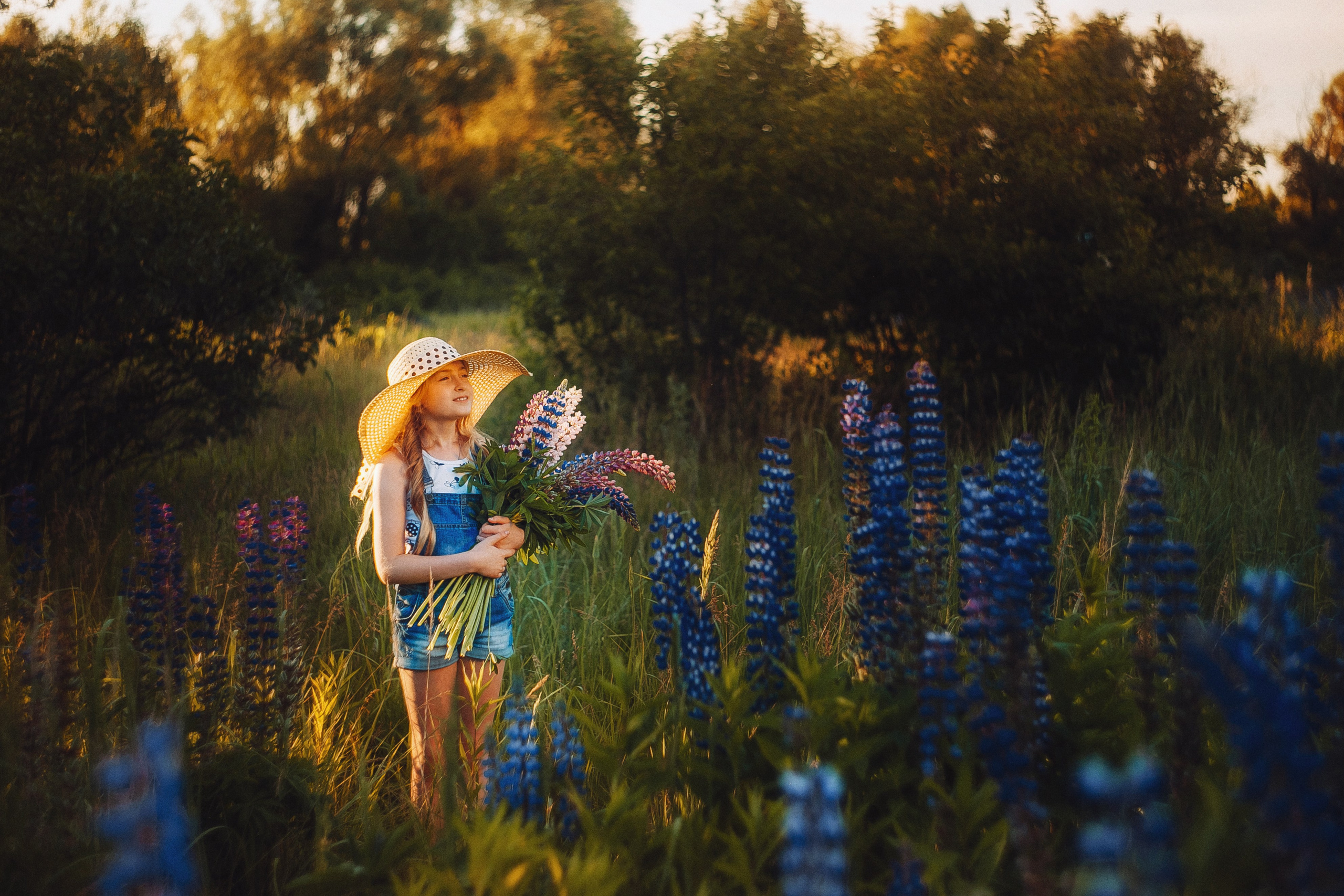 Солнечная Алена в Люпинах. Фотограф Сергей Логинов