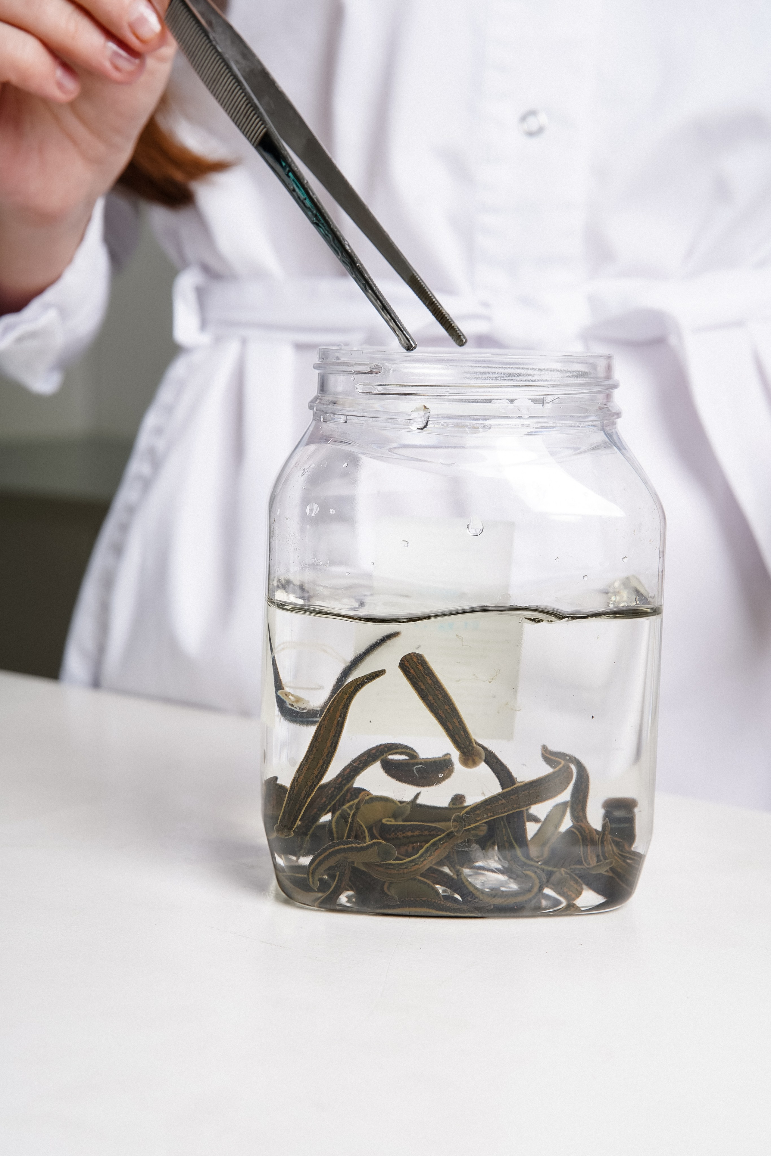 Medicine. AMODEO STUDIO