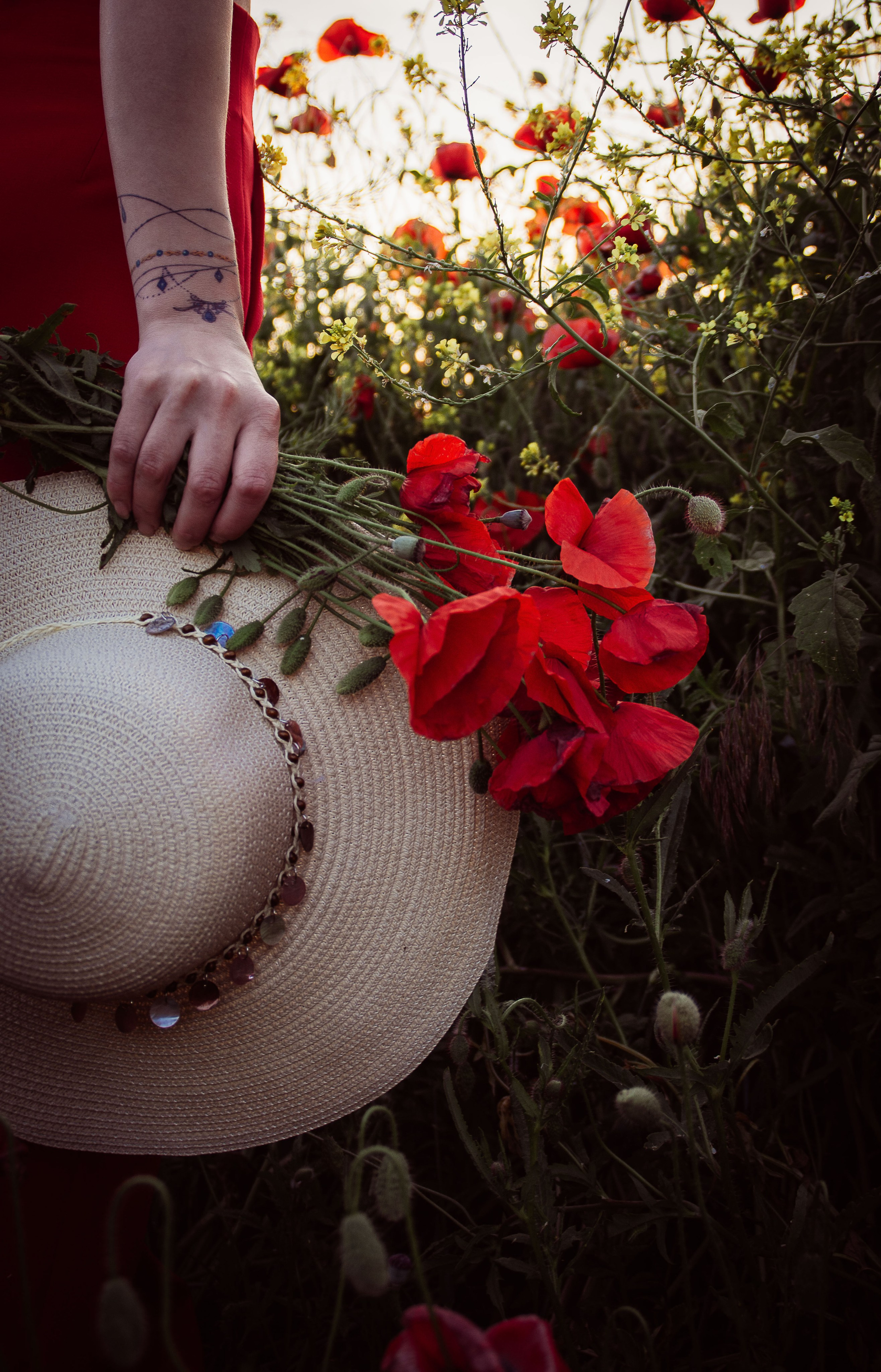 Фотосессия в поле маков. Елена Волкова семейный фотограф в станице Гостагаевской города-курорта Анапа