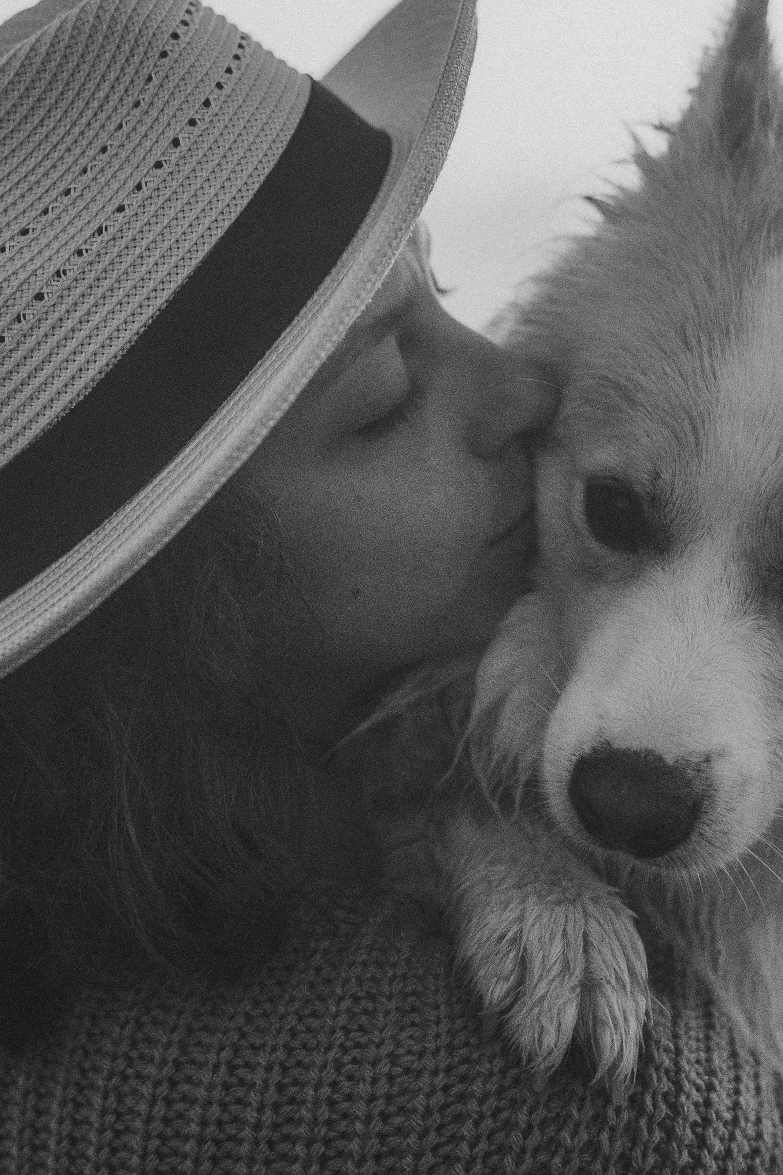 Рина и Марси. Фотограф анималист в Москве и Санкт-Петербурге Свиридова Анна