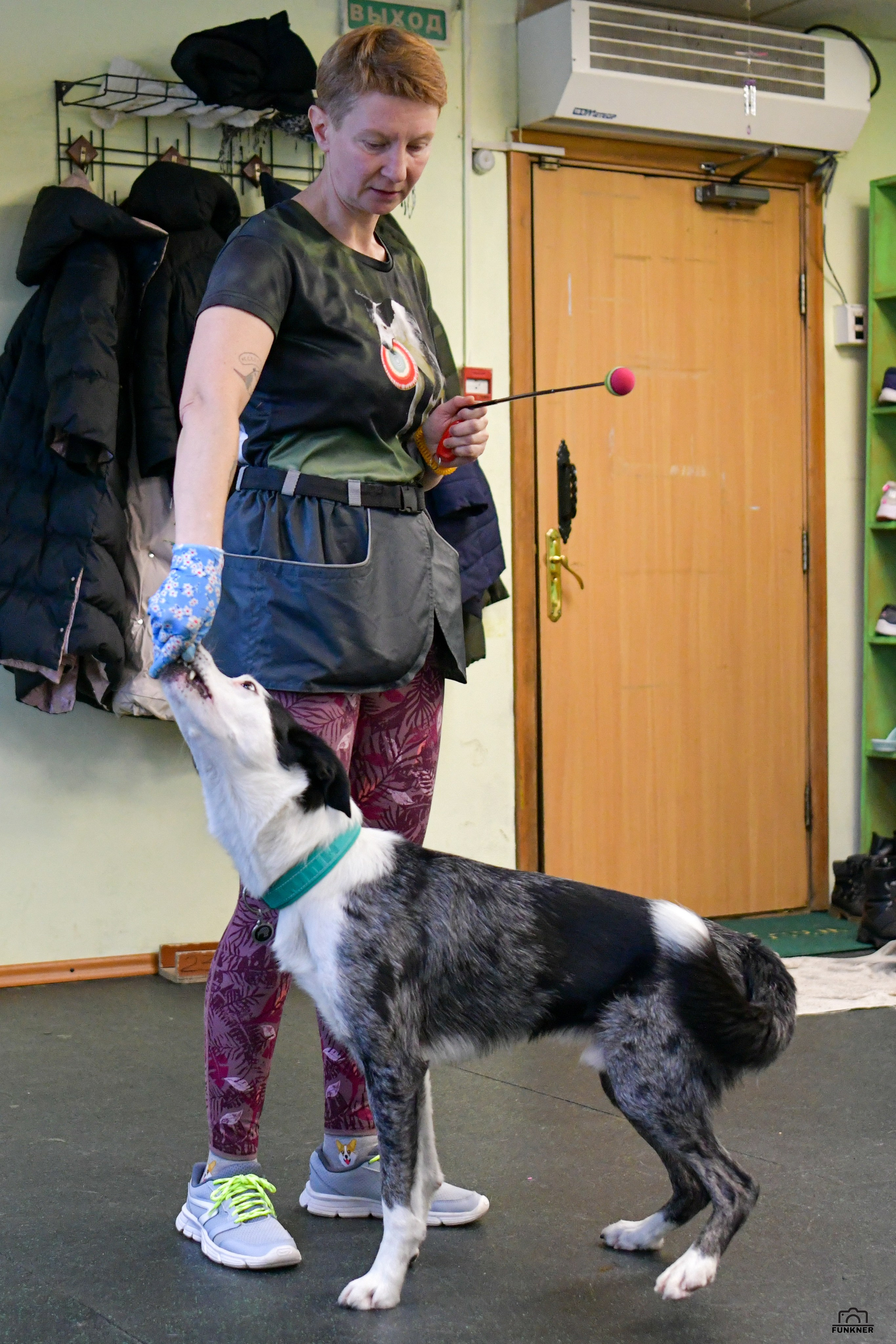 Кинологический клуб «Бодрый хвост». Свой взгляд через объектив