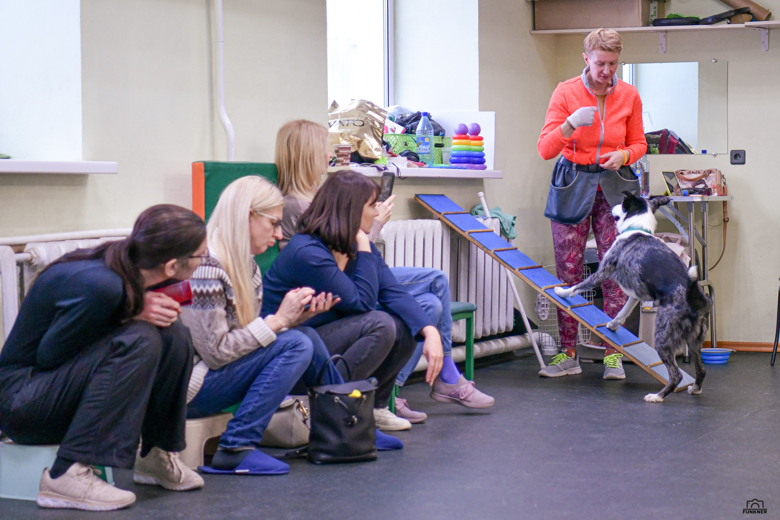 Кинологический клуб «Бодрый хвост». Свой взгляд через объектив