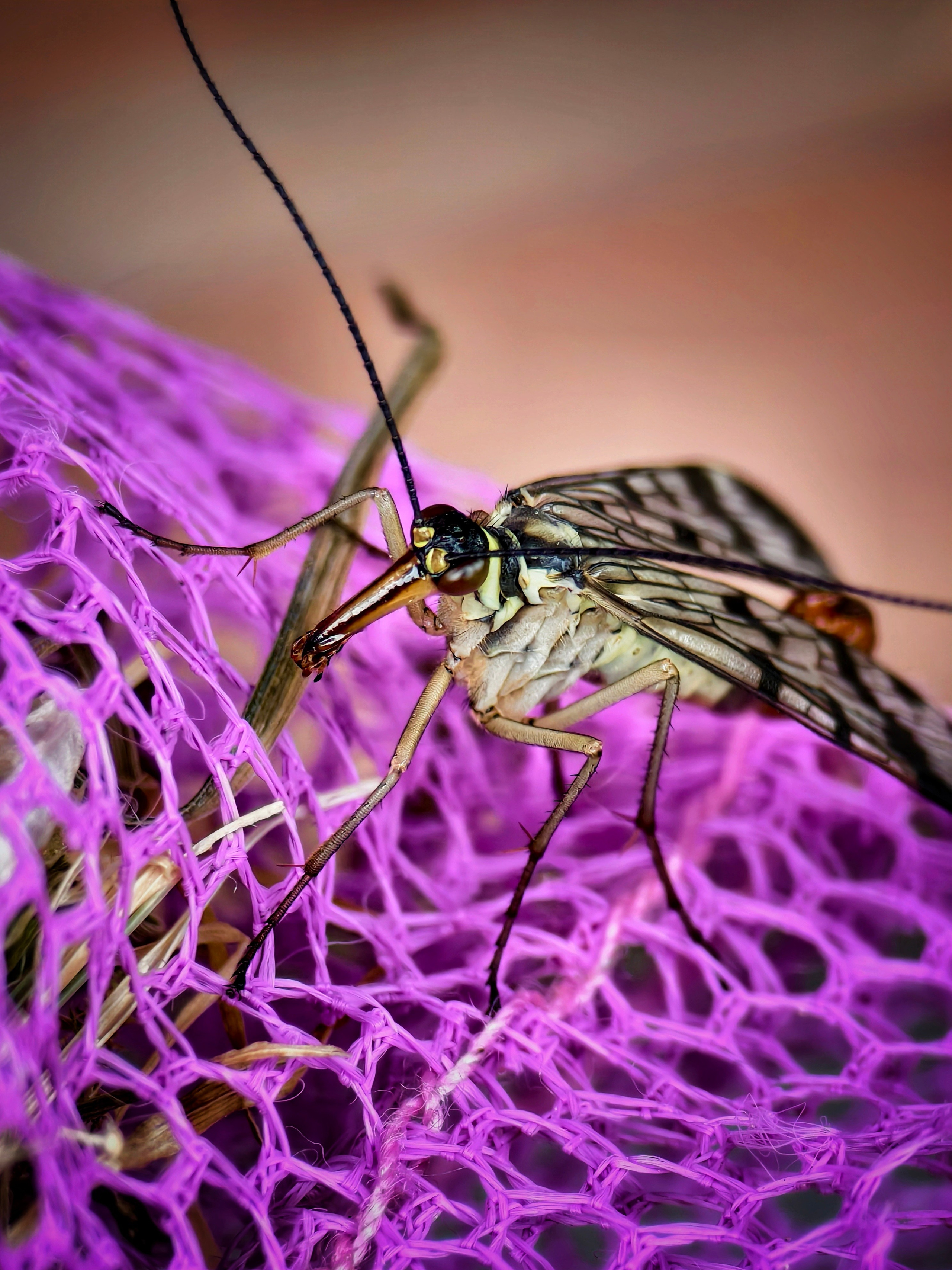 Большое в малом