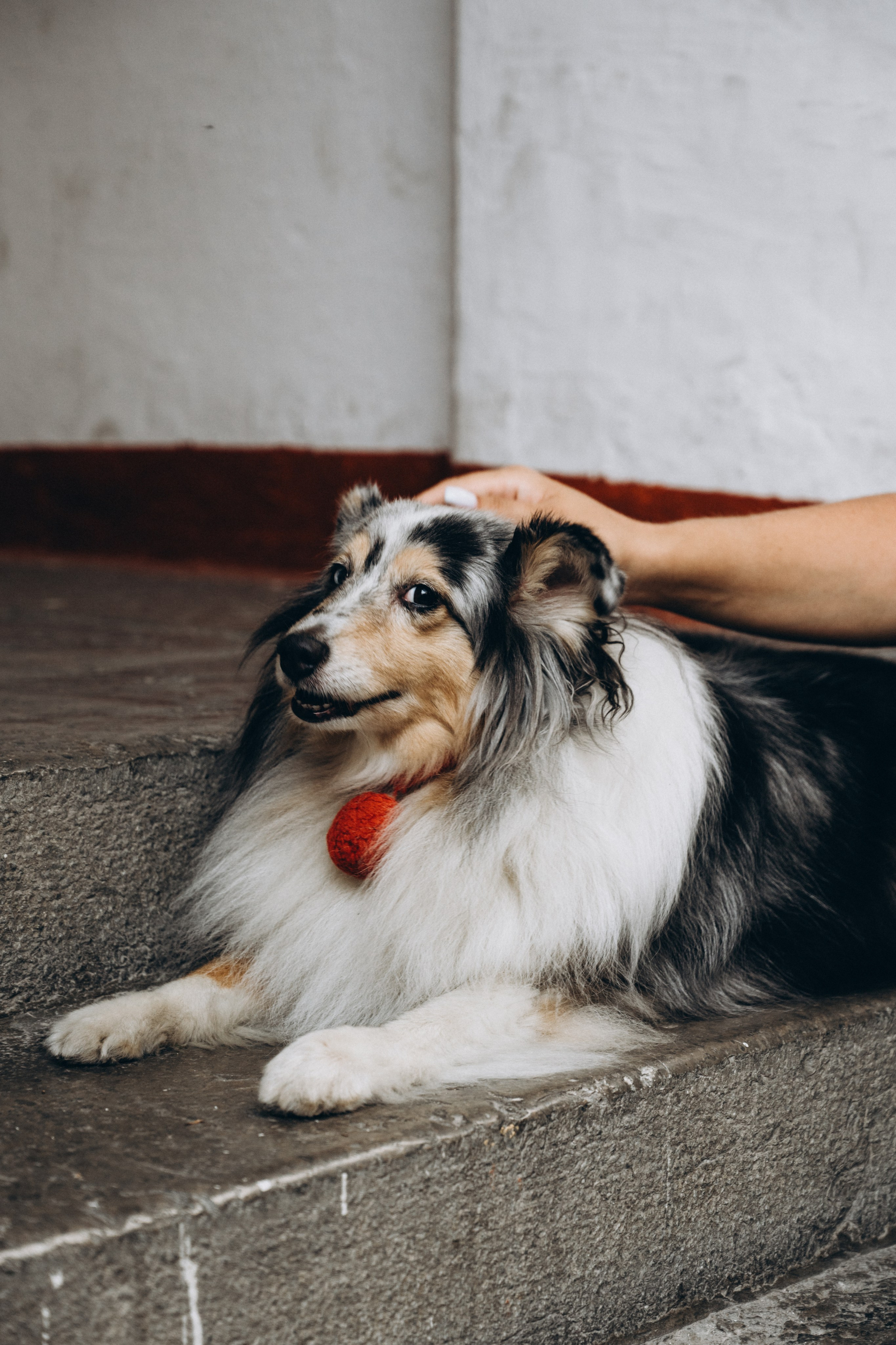 Яна и Холли. Мария Кобзева, фотограф в Ялте, Крым