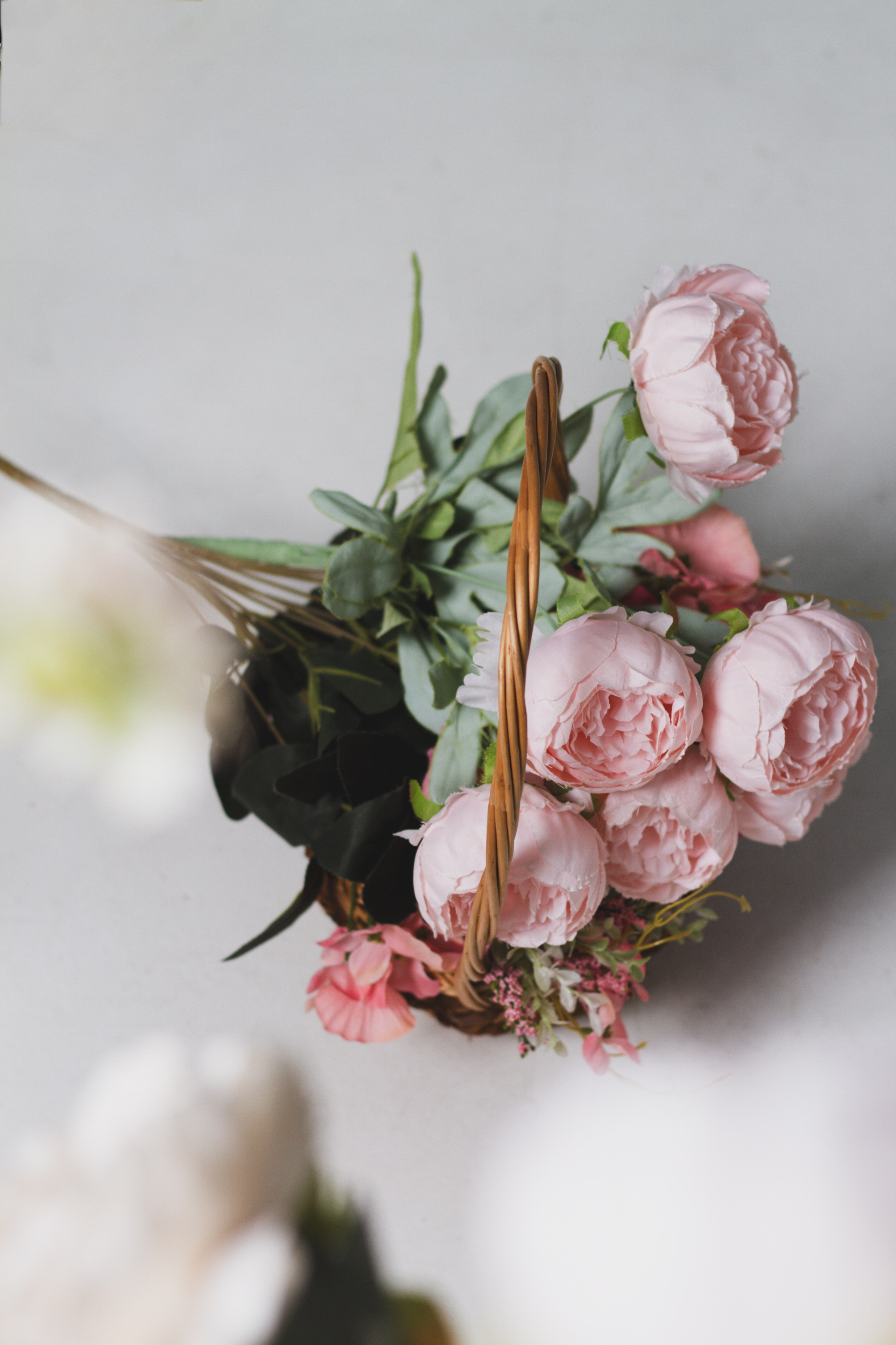 Главная. Espero Photographer — Фотограф в Санкт-Петербурге