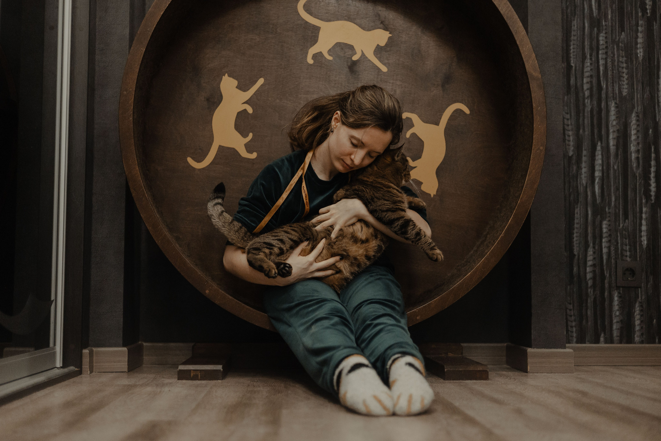 Иксик, Маффин и Надя. Фотограф Анималист Екатерина Справцева в Нижнем Новгороде