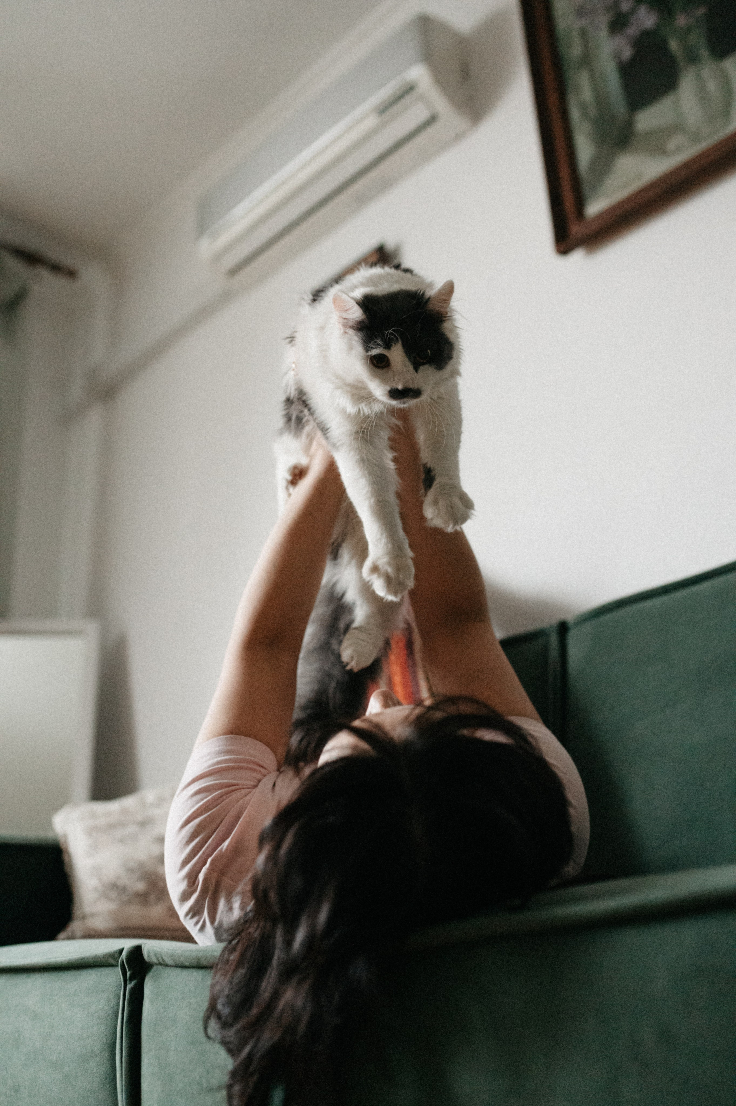 Оля и её меховая банда. Фотограф анималист в Москве Ольга Агушева