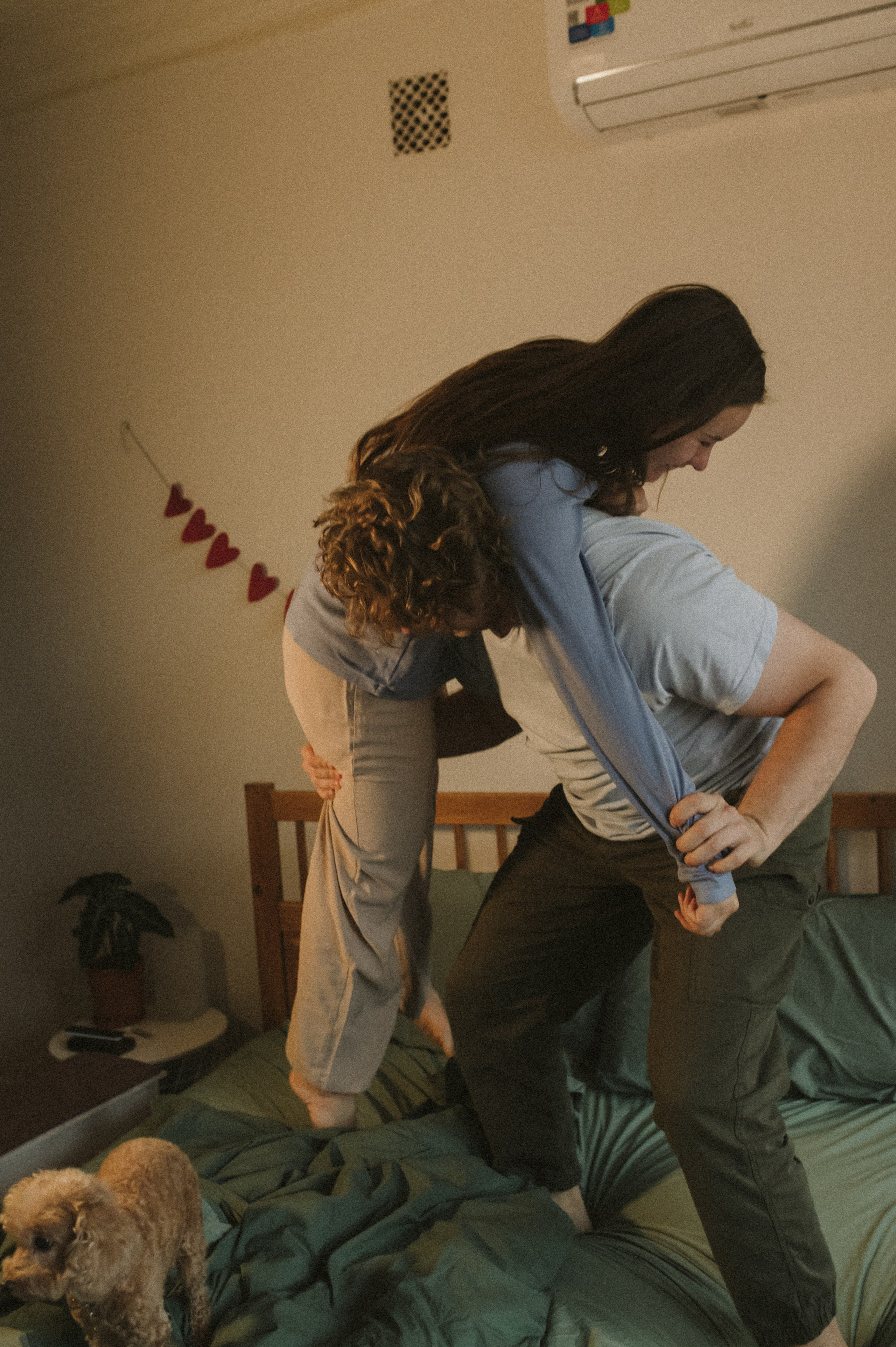 Ання и её кудрявая команда. Фотограф анималист в Москве Ольга Агушева