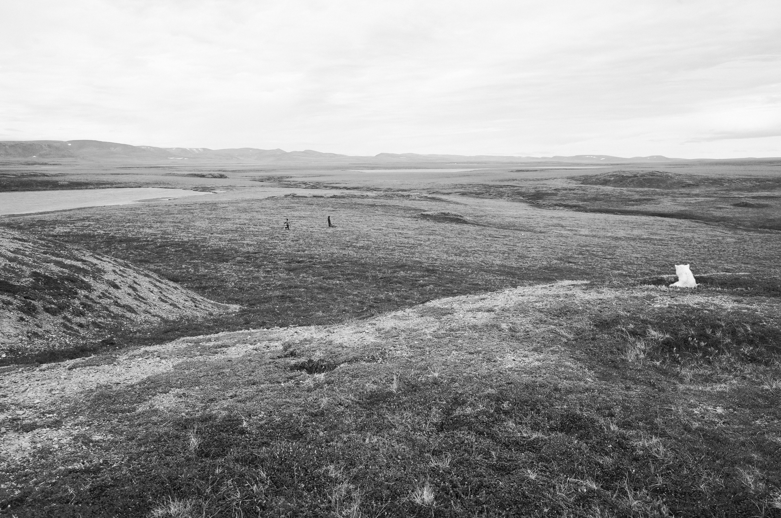 DOCUMENTARY. Фотограф Макс Бадулин