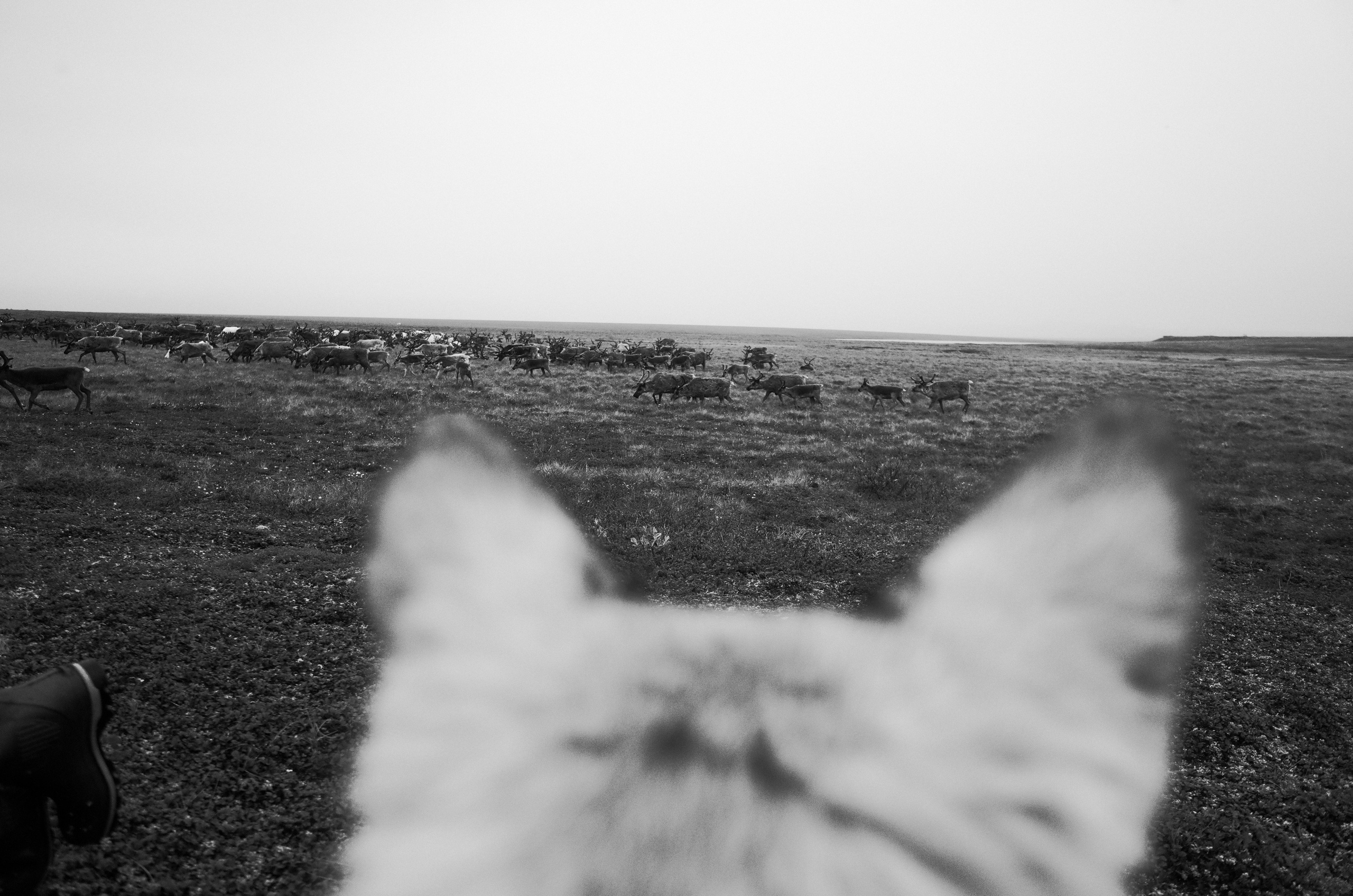 DOCUMENTARY. Фотограф Макс Бадулин