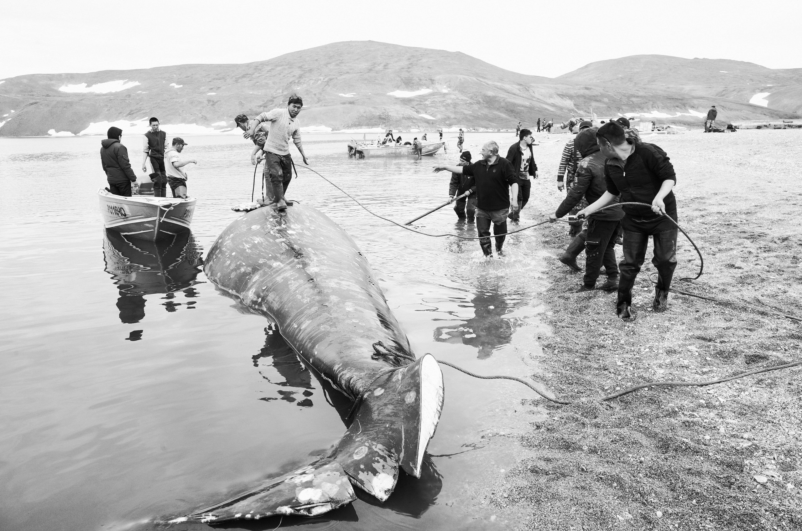 DOCUMENTARY. Фотограф Макс Бадулин