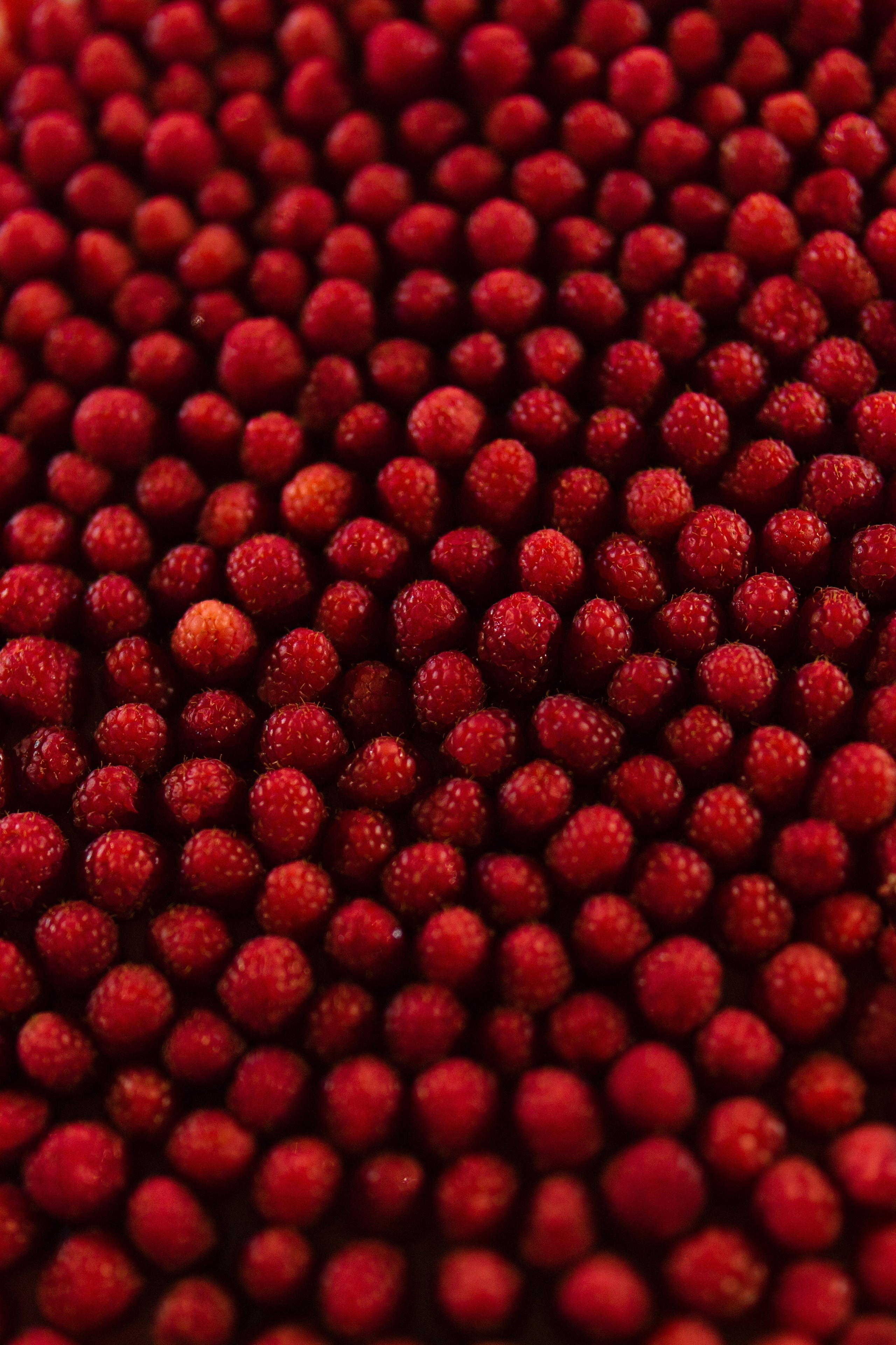 Ренат и Лина. Ланемец Юлия — фотограф Волгоград/Волжский