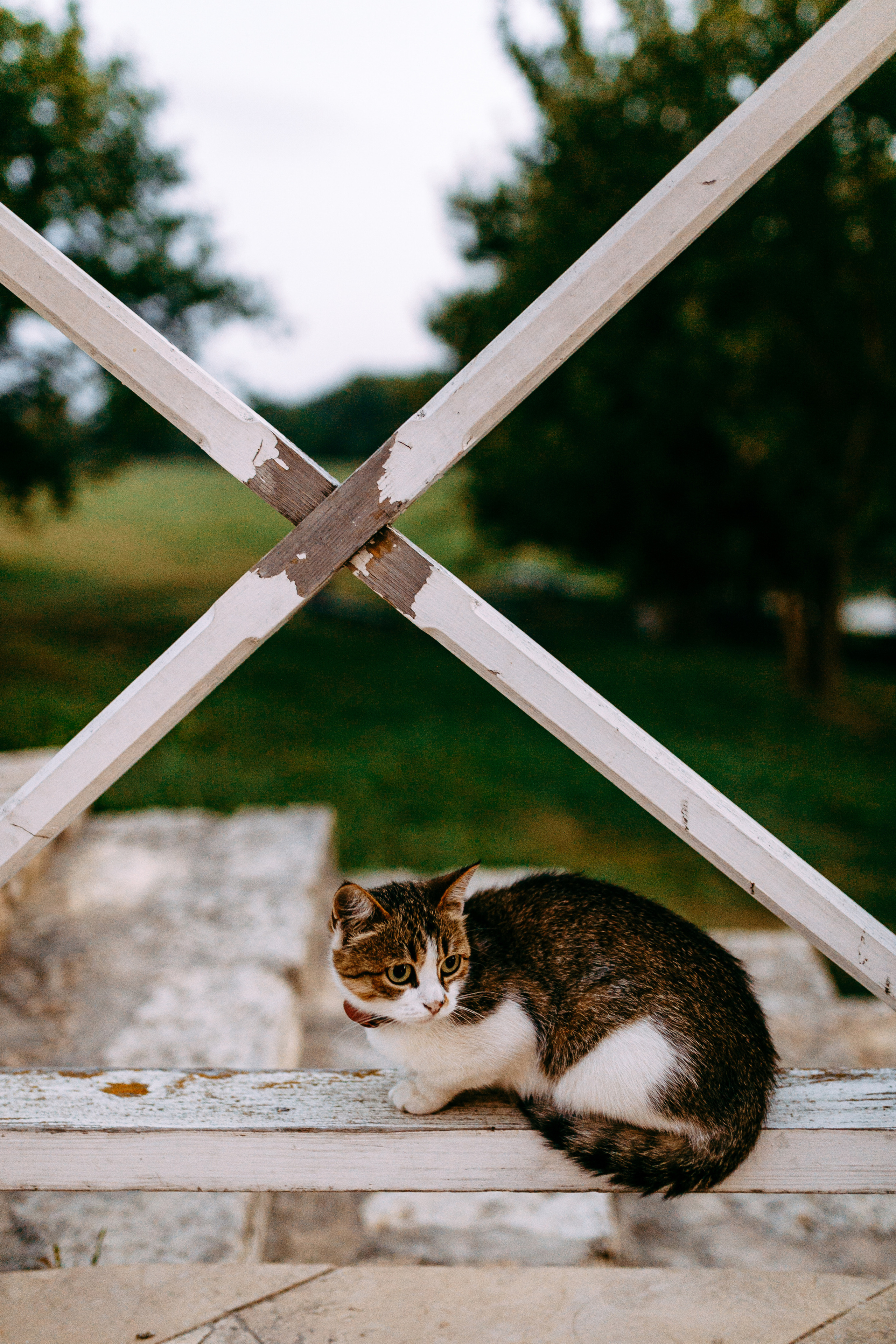 Даниил и Ирина. Никита Селиванов, свадебный фотограф в Воронеже