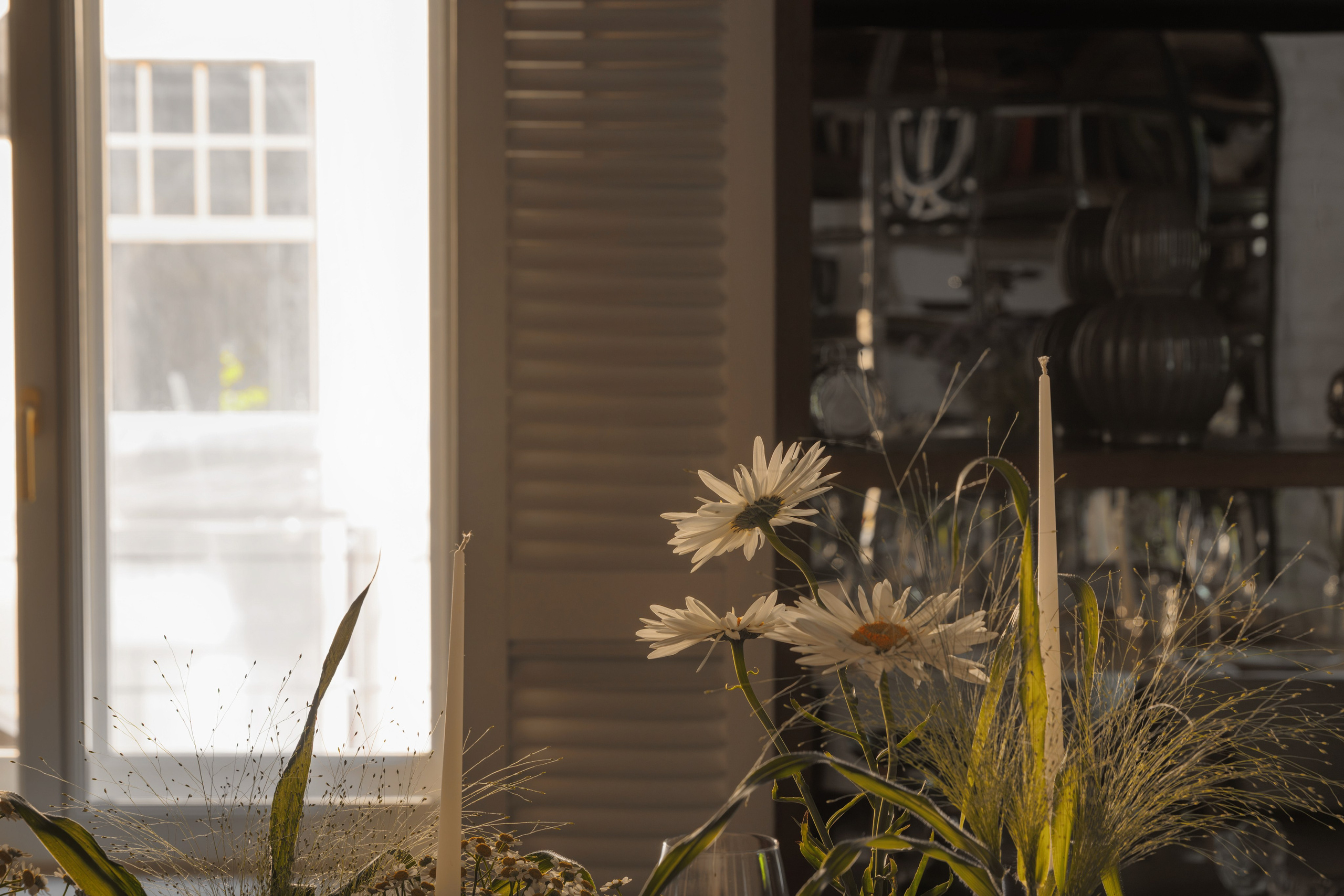 Огородники. Репортажный фотограф в Санкт-Петербурге Жолудев Владислав