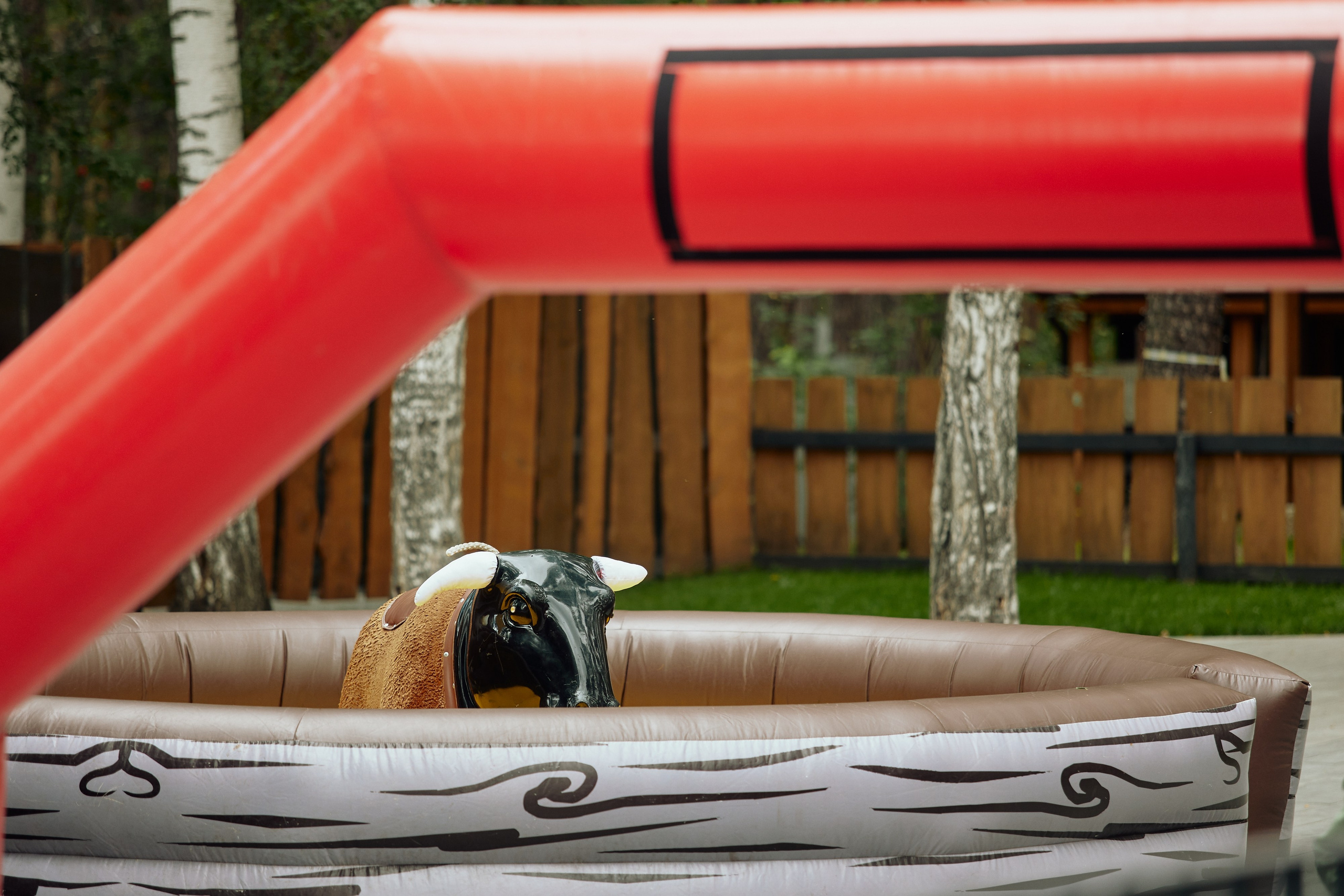 AVLN TEN YEARS. Дмитрий Мазуркевич: Профессиональный Репортажный Фотограф