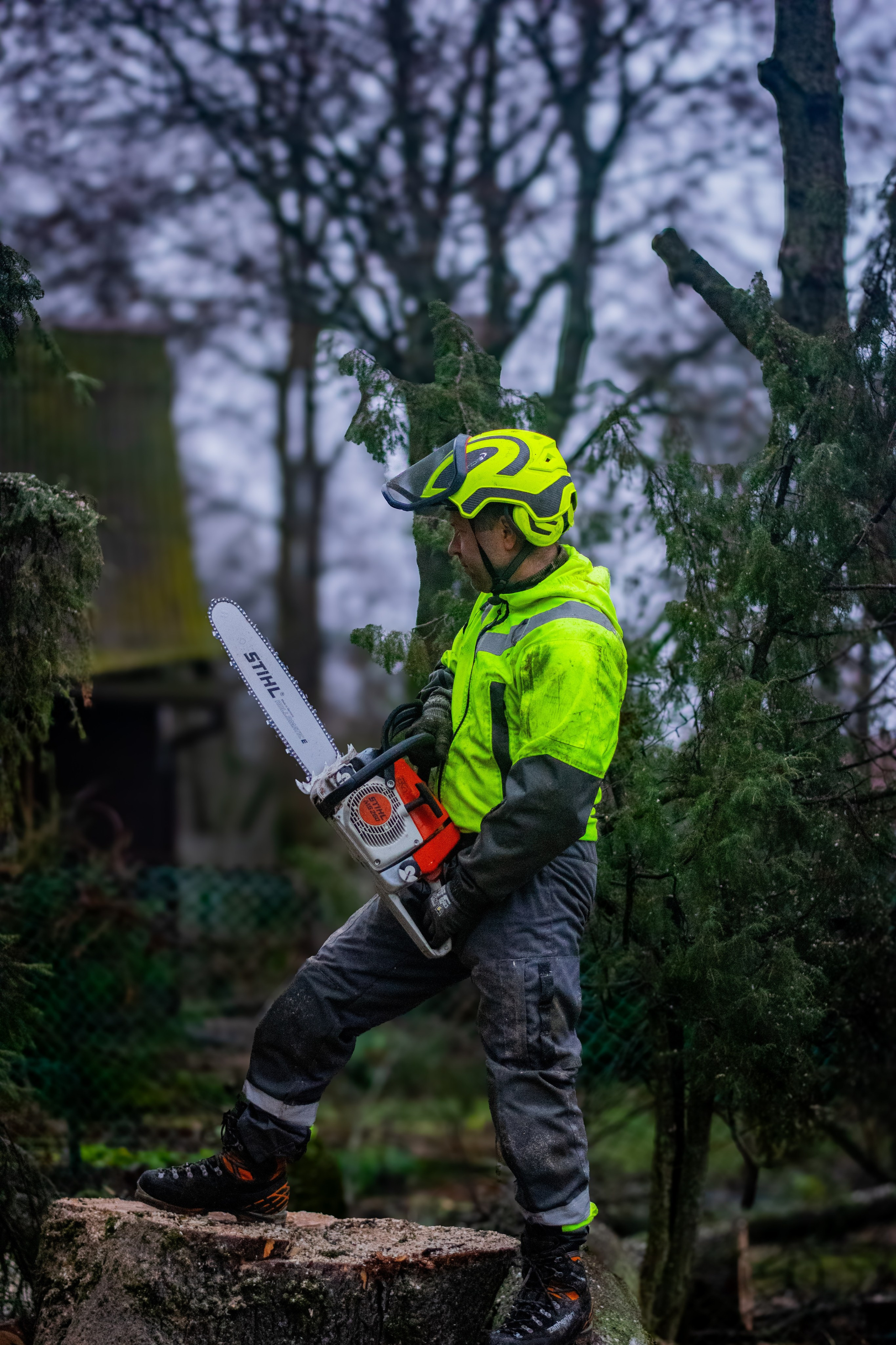 Спил деревьев. Аrbori Culturist