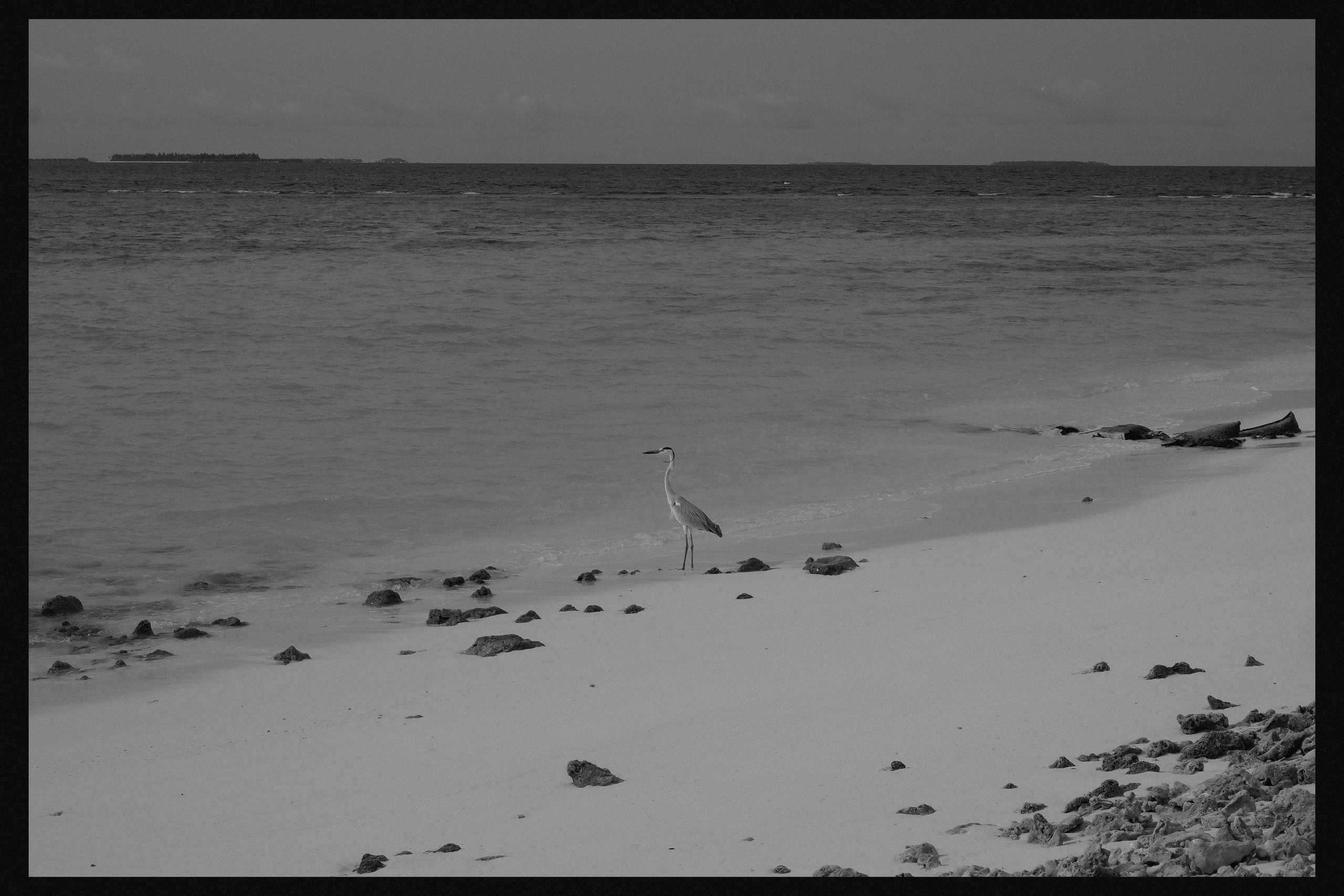 MALDIVES&BAHRAIN. ANNA — PHOTOGRAPHER