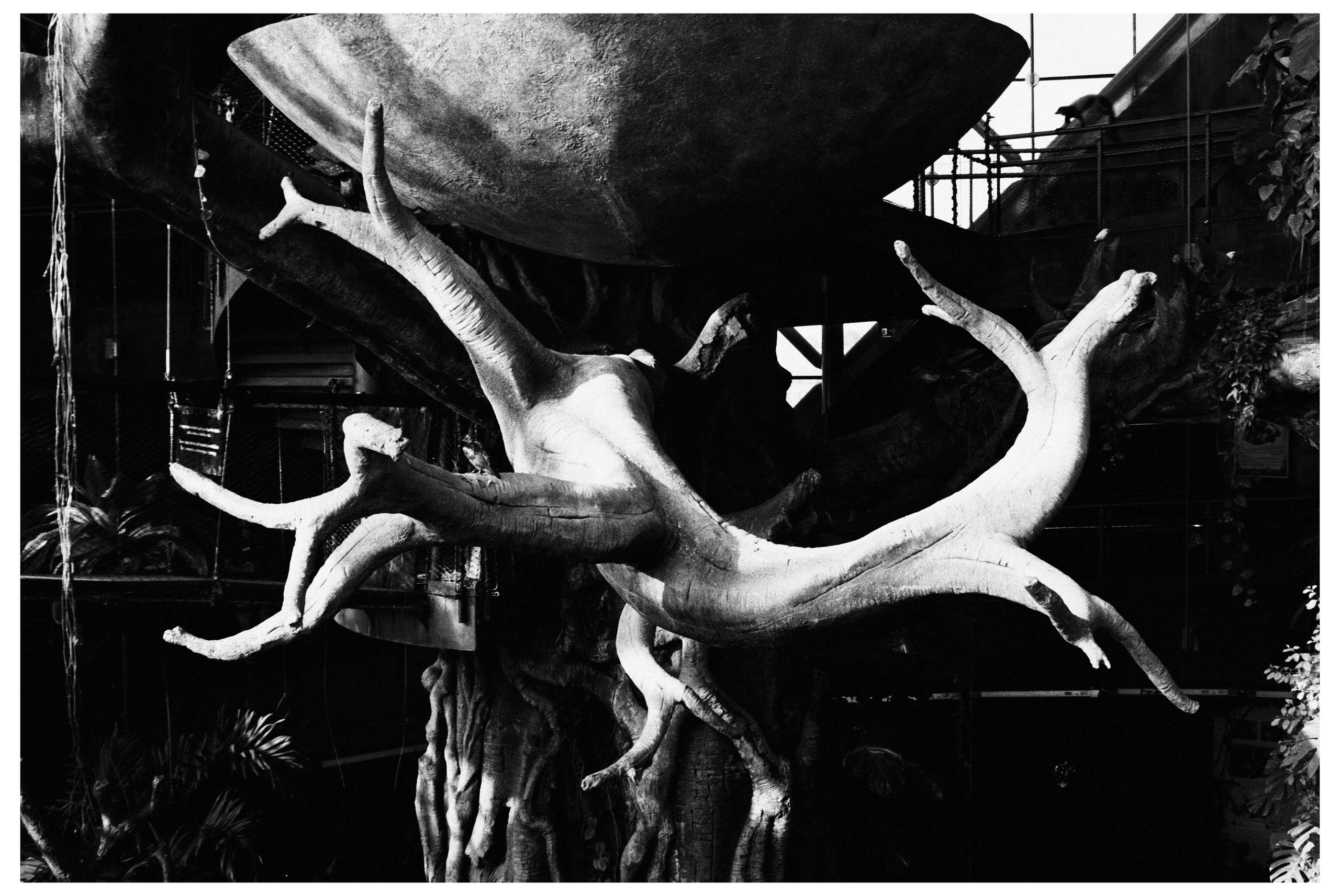 UAE. ANNA — PHOTOGRAPHER