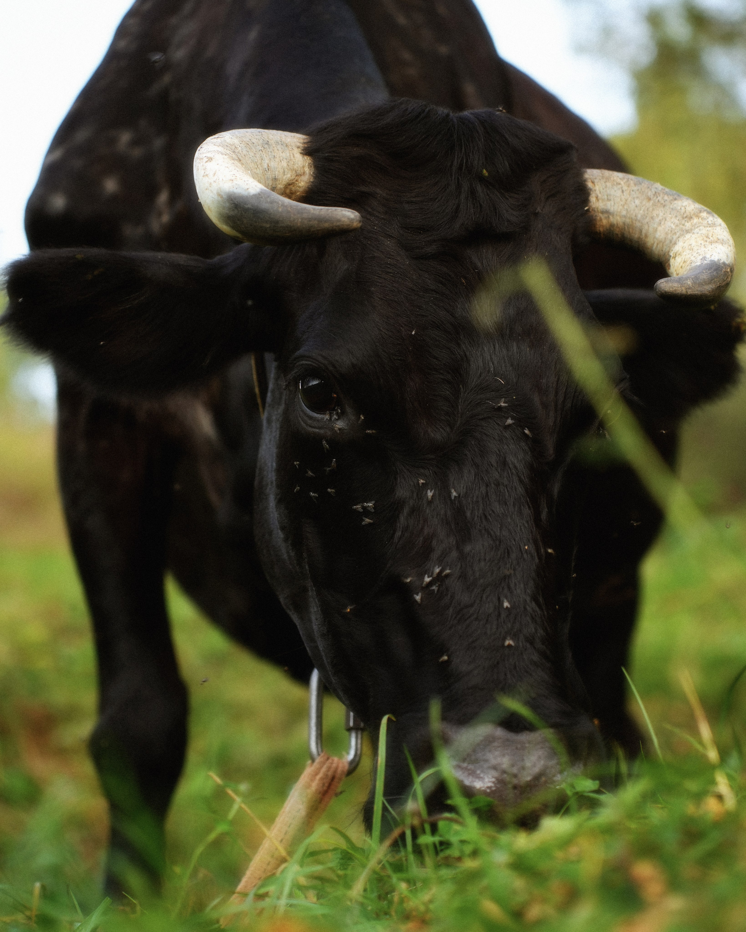 KALUGA. ANNA — PHOTOGRAPHER