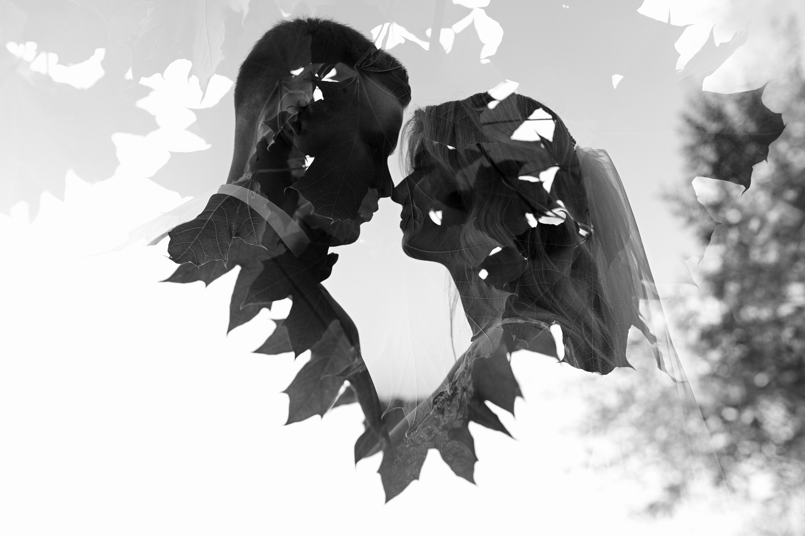 Фотограф Николай Павленко в Гомеле